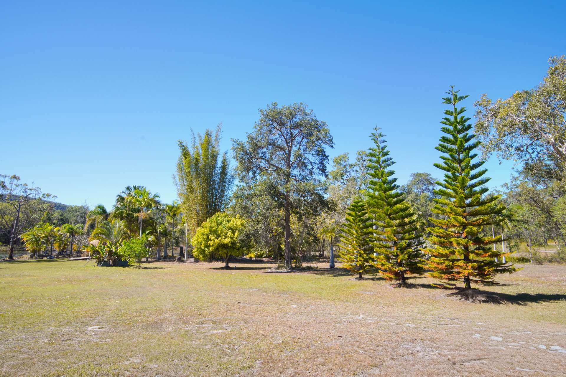328 Baldaw Road, Captain Creek For Sale by Farmbuy.com - image 22