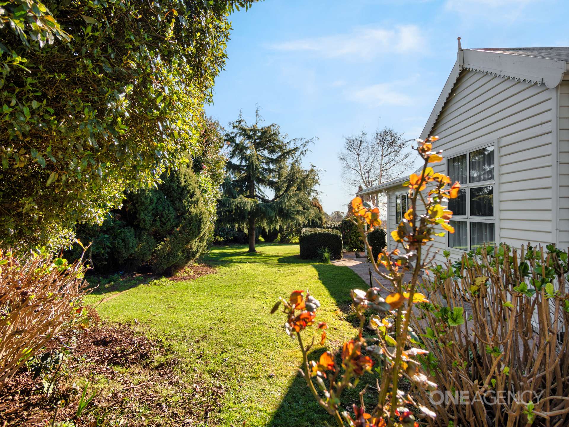 469 Mount Hicks Road, Mount Hicks For Sale by Farmbuy.com - image 29