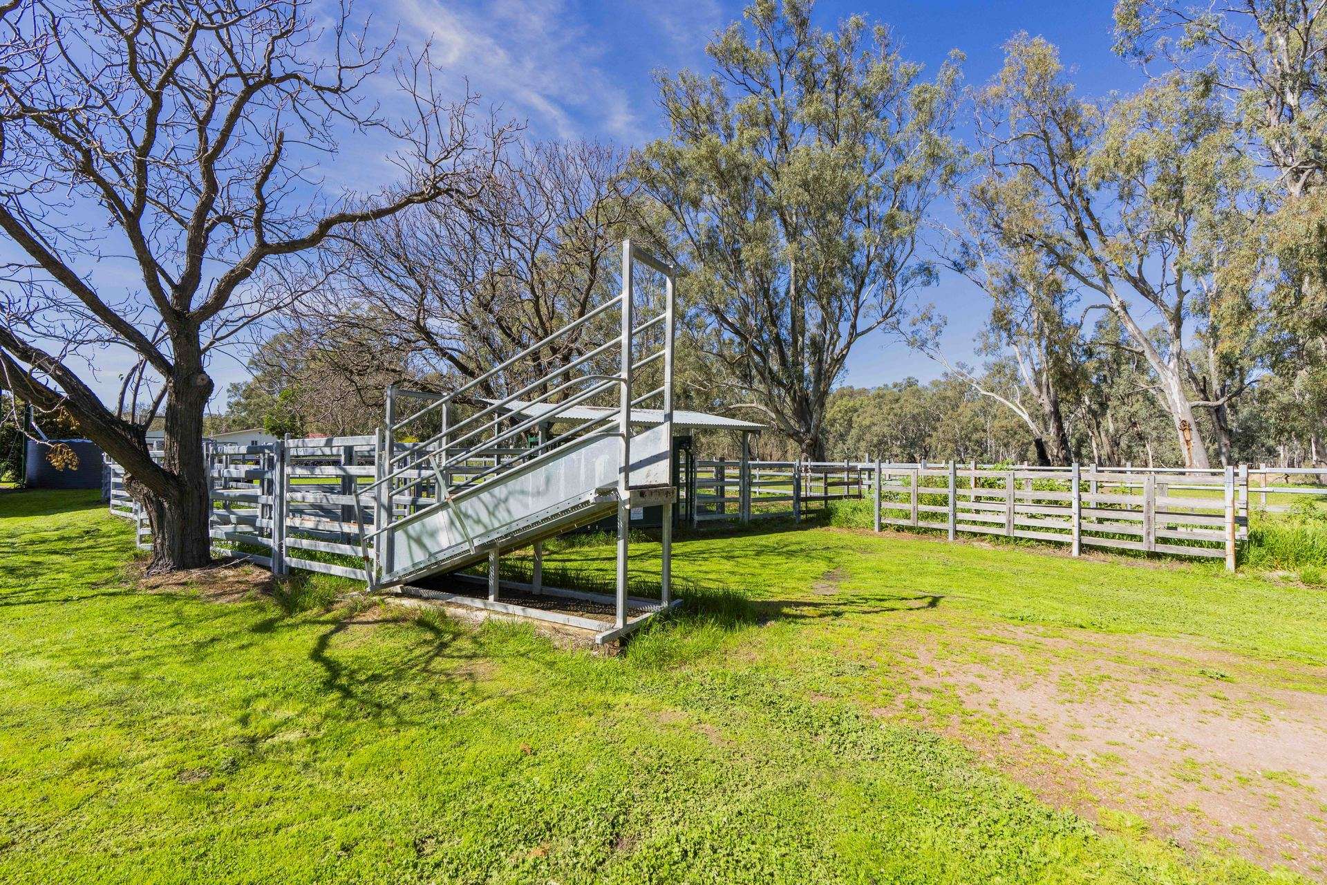 79 Yanco Weir Road, Leeton For Sale by Farmbuy.com - image 23