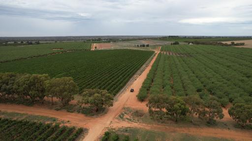Farm For Sale - SA - New Residence - 5333 - RIVERFRONT HORTICULTURAL REDEVELOPMENT OPPORTUNITY 