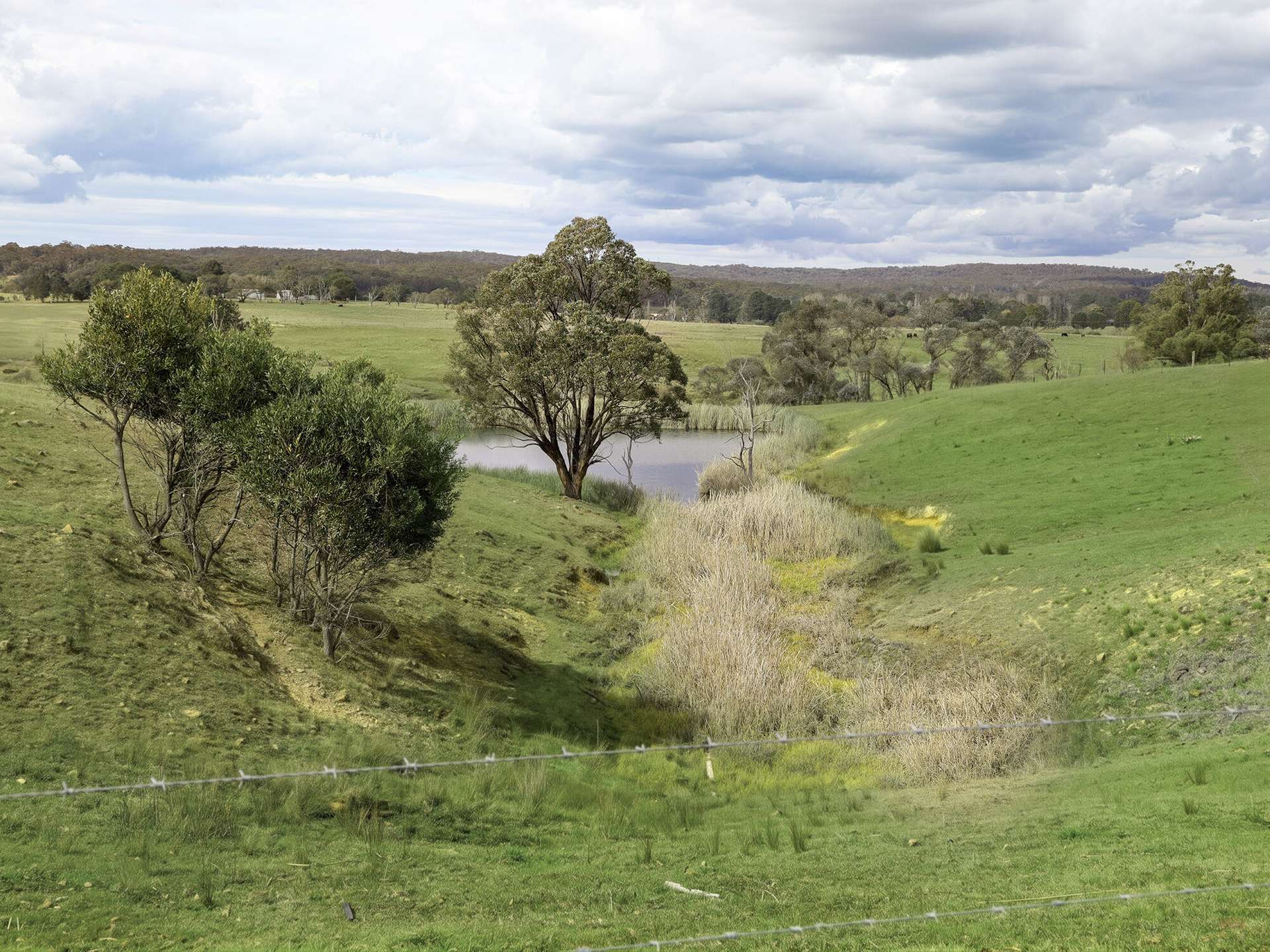 1236 Canyonleigh Road, Brayton For Sale by Farmbuy.com - image 30