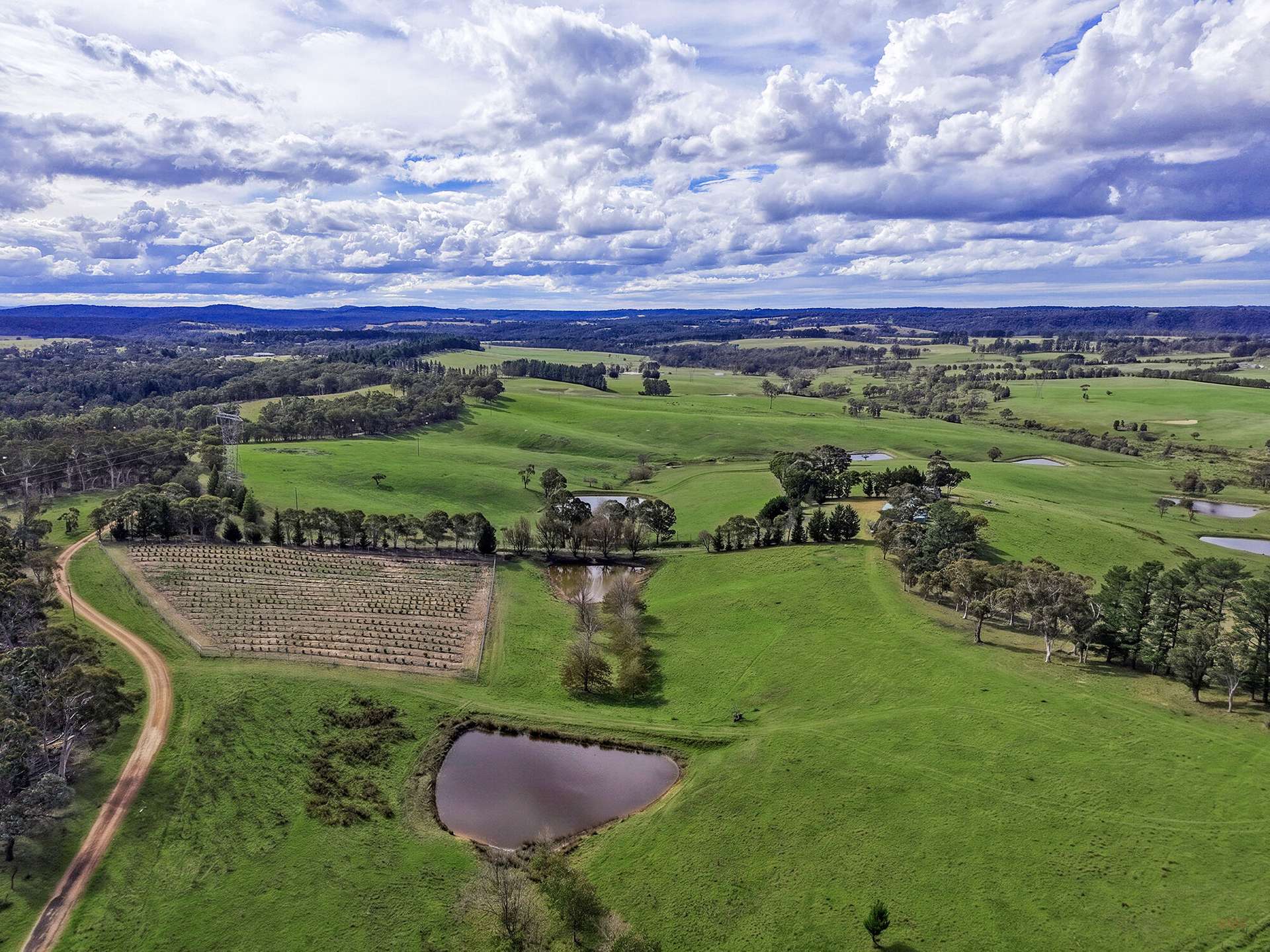 1236 Canyonleigh Road, Brayton For Sale by Farmbuy.com - image 2