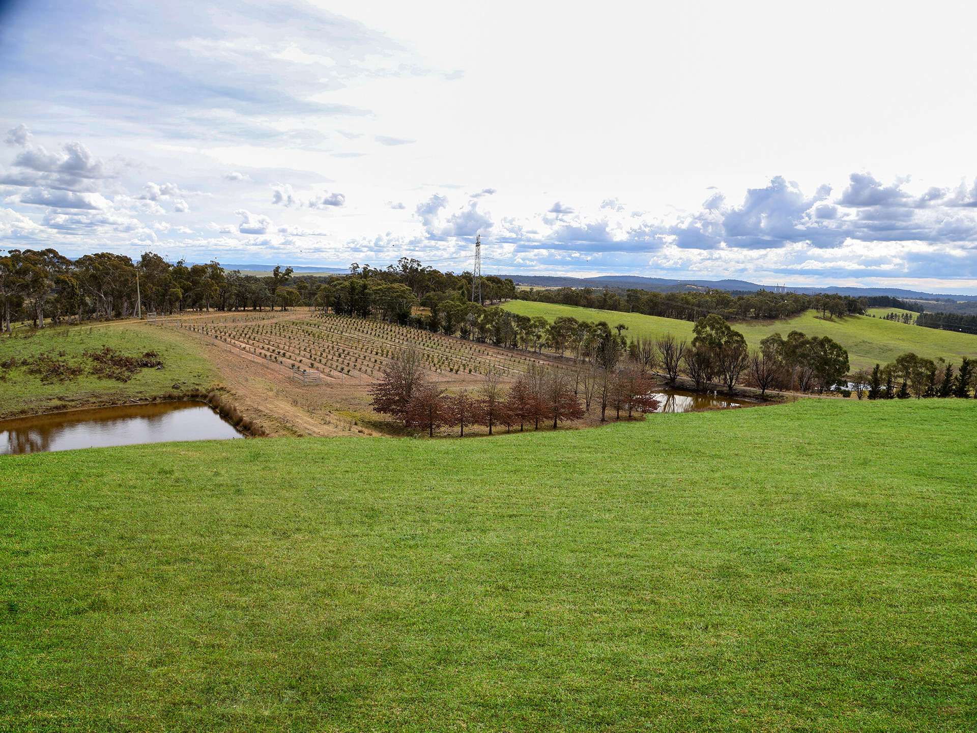 1236 Canyonleigh Road, Brayton For Sale by Farmbuy.com - image 22