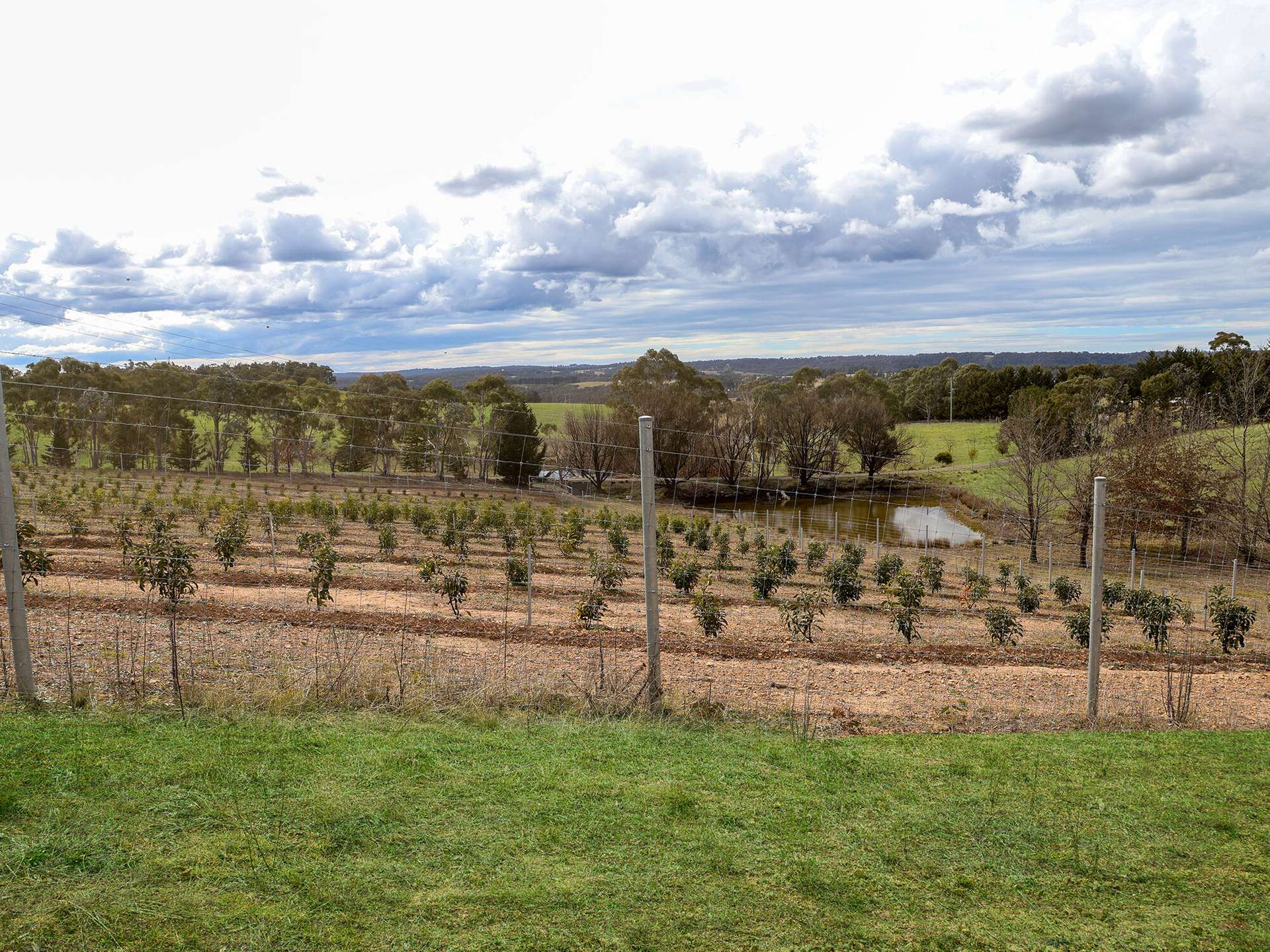 1236 Canyonleigh Road, Brayton For Sale by Farmbuy.com - image 23