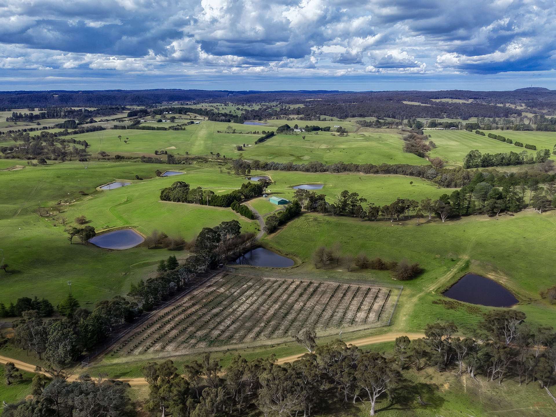 1236 Canyonleigh Road, Brayton For Sale by Farmbuy.com - image 9