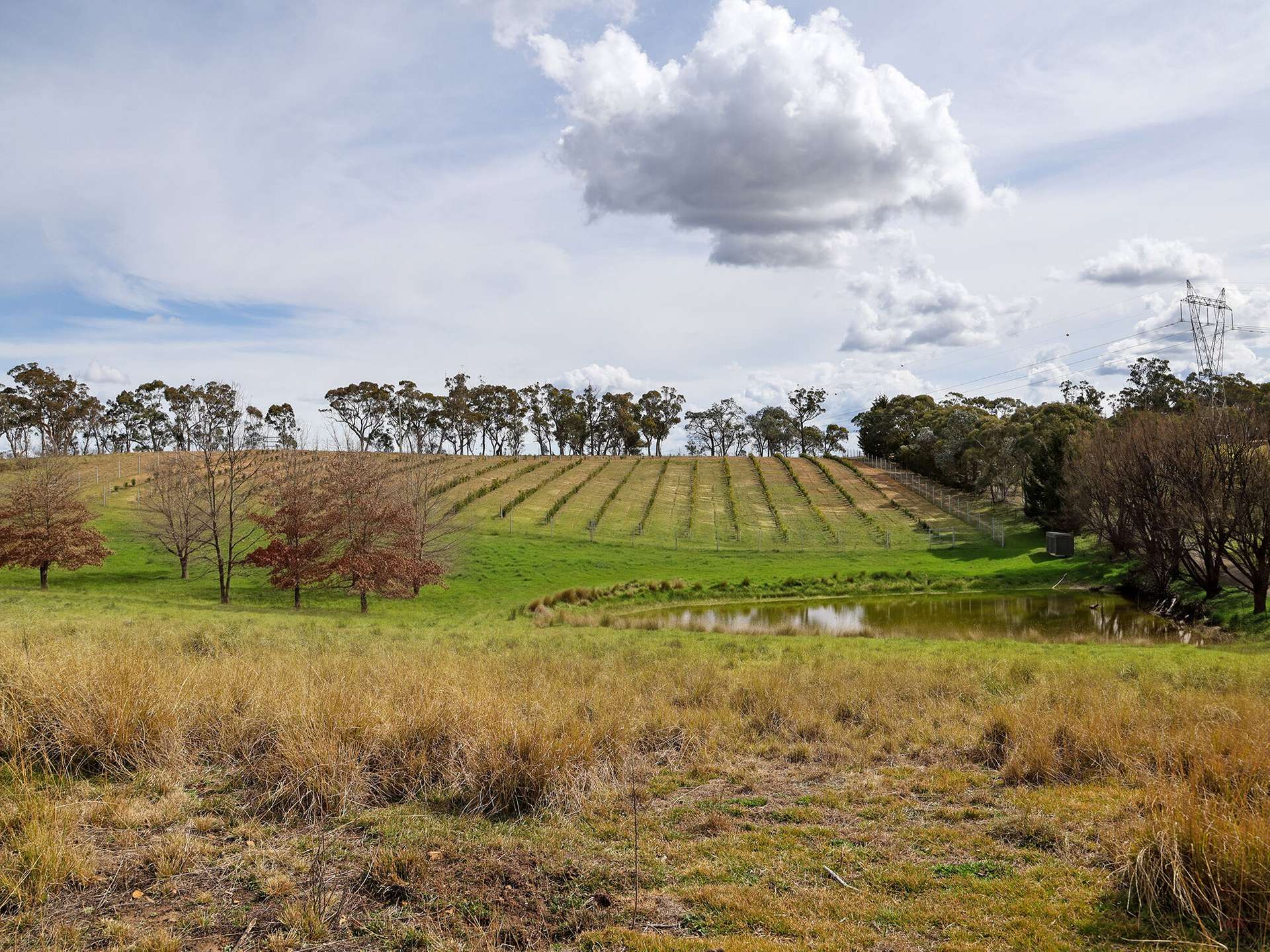 1236 Canyonleigh Road, Brayton For Sale by Farmbuy.com - image 24