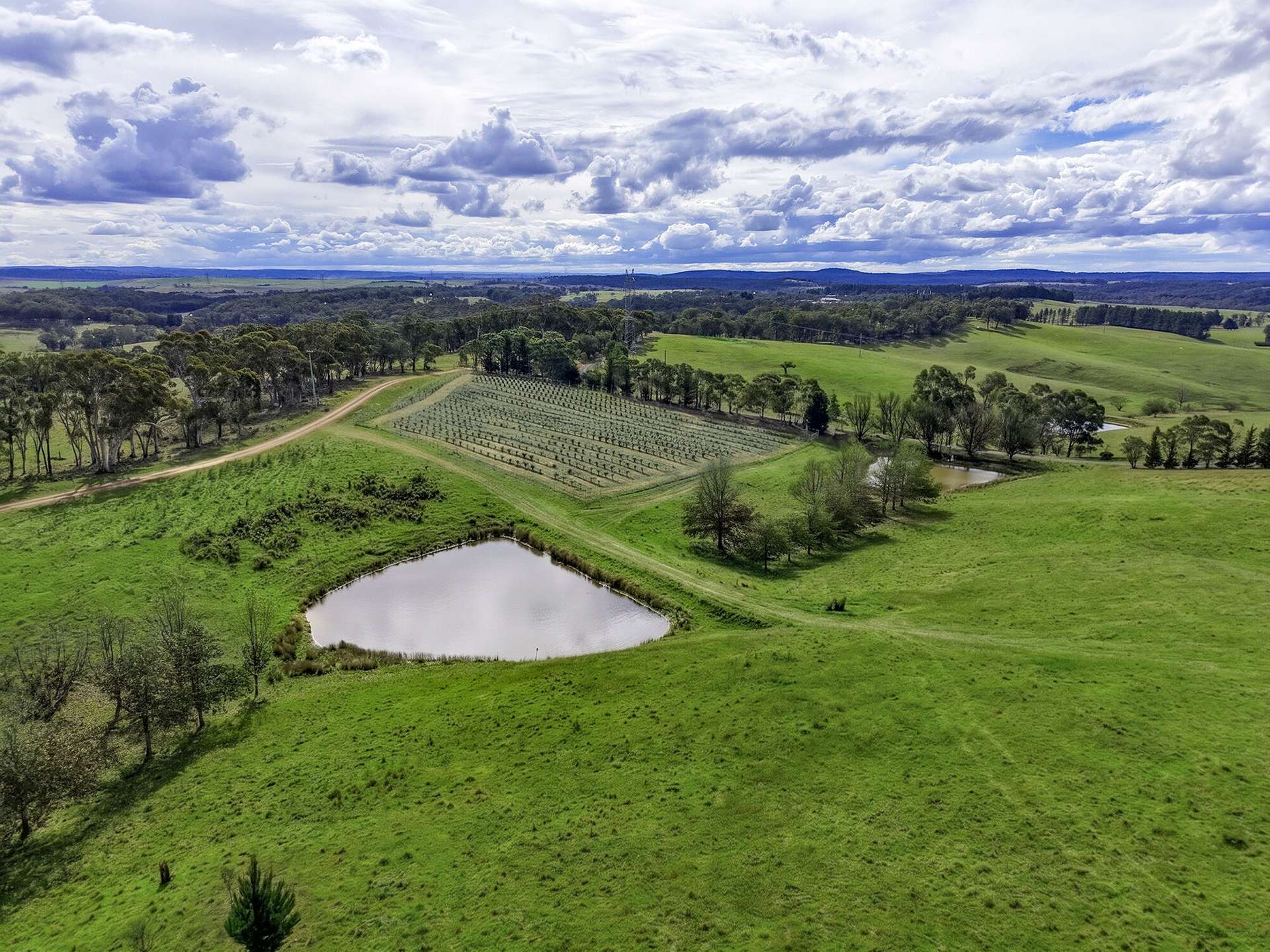 1236 Canyonleigh Road, Brayton For Sale by Farmbuy.com - image 8