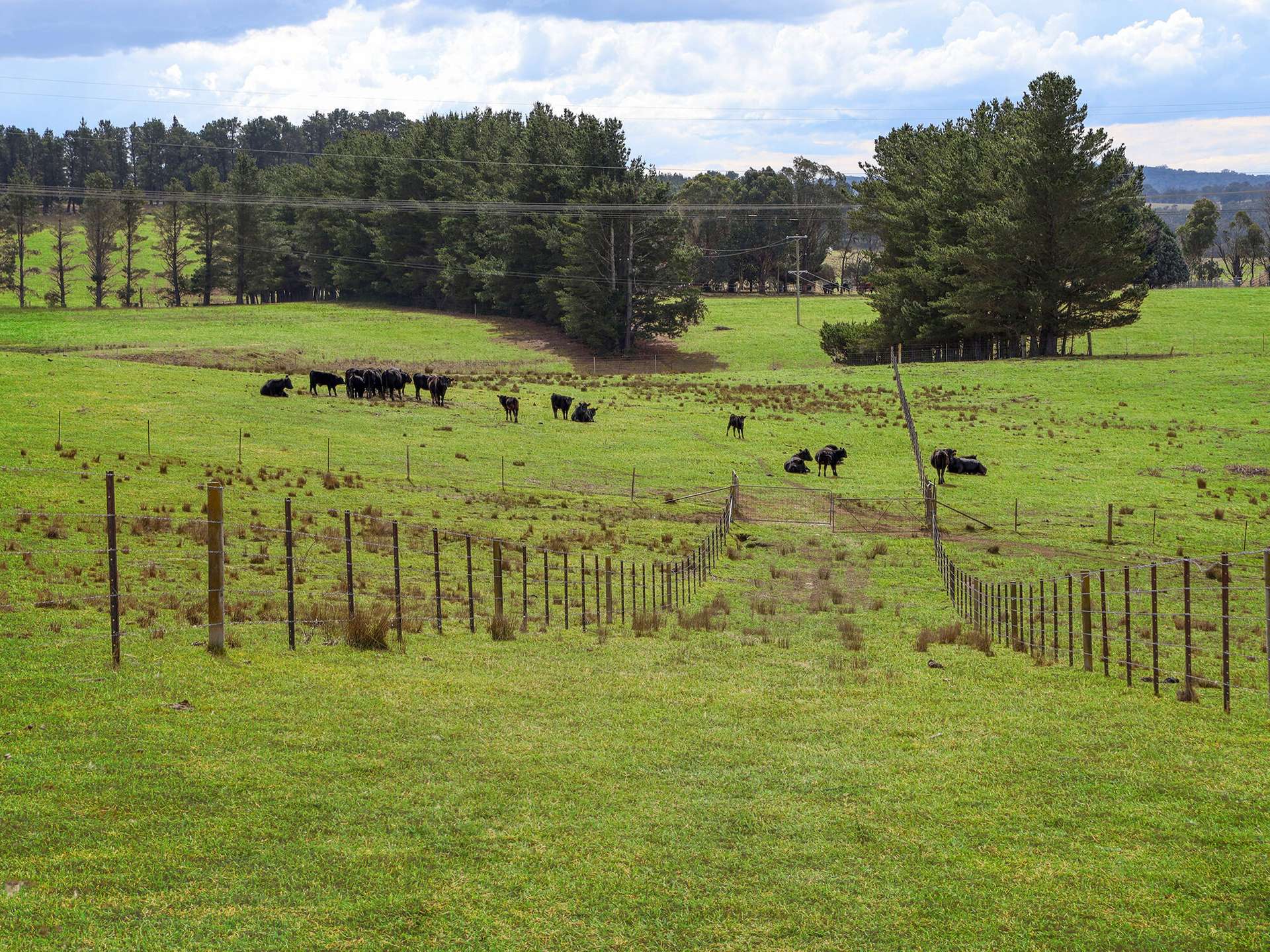 1236 Canyonleigh Road, Brayton For Sale by Farmbuy.com - image 27