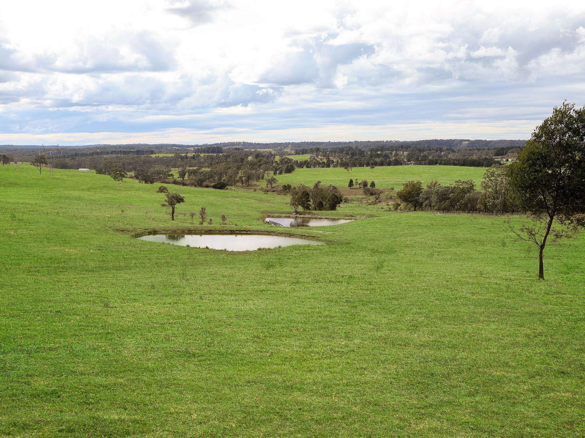 1236 Canyonleigh Road, Brayton For Sale by Farmbuy.com - image 26