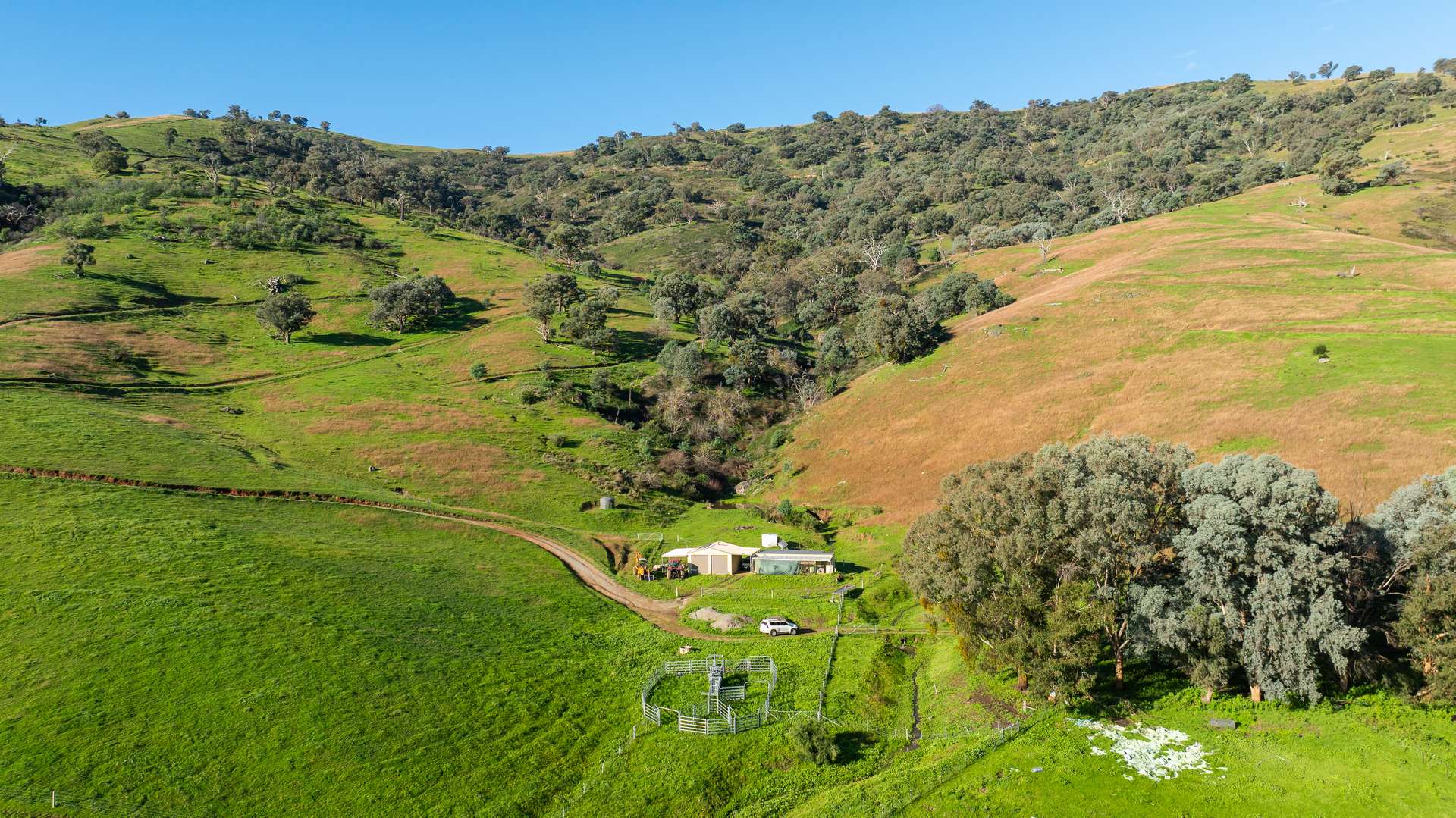 1465 Gundowring Road, Gundowring For Sale by Farmbuy.com - image 23