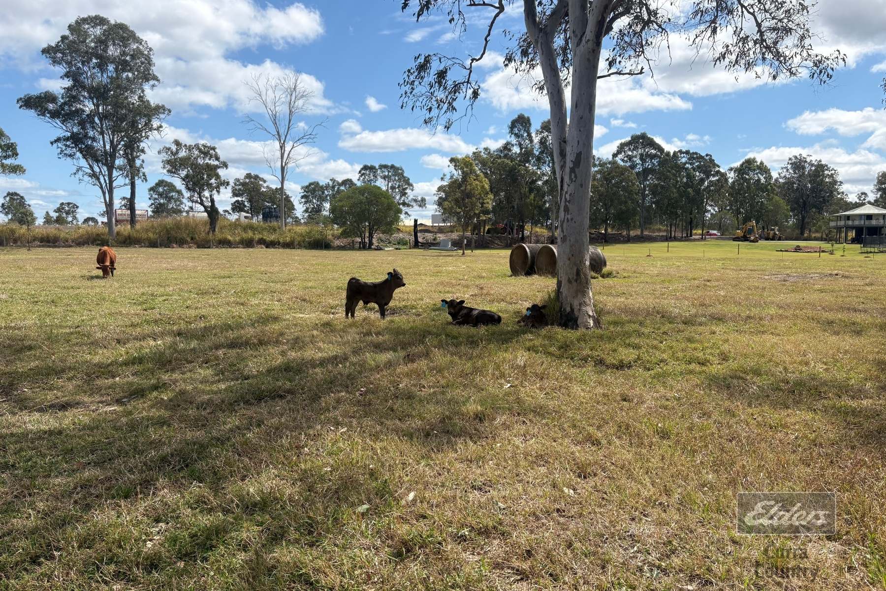 Lot 196 Bruce Highway, Tiaro For Sale by Farmbuy.com - image 12