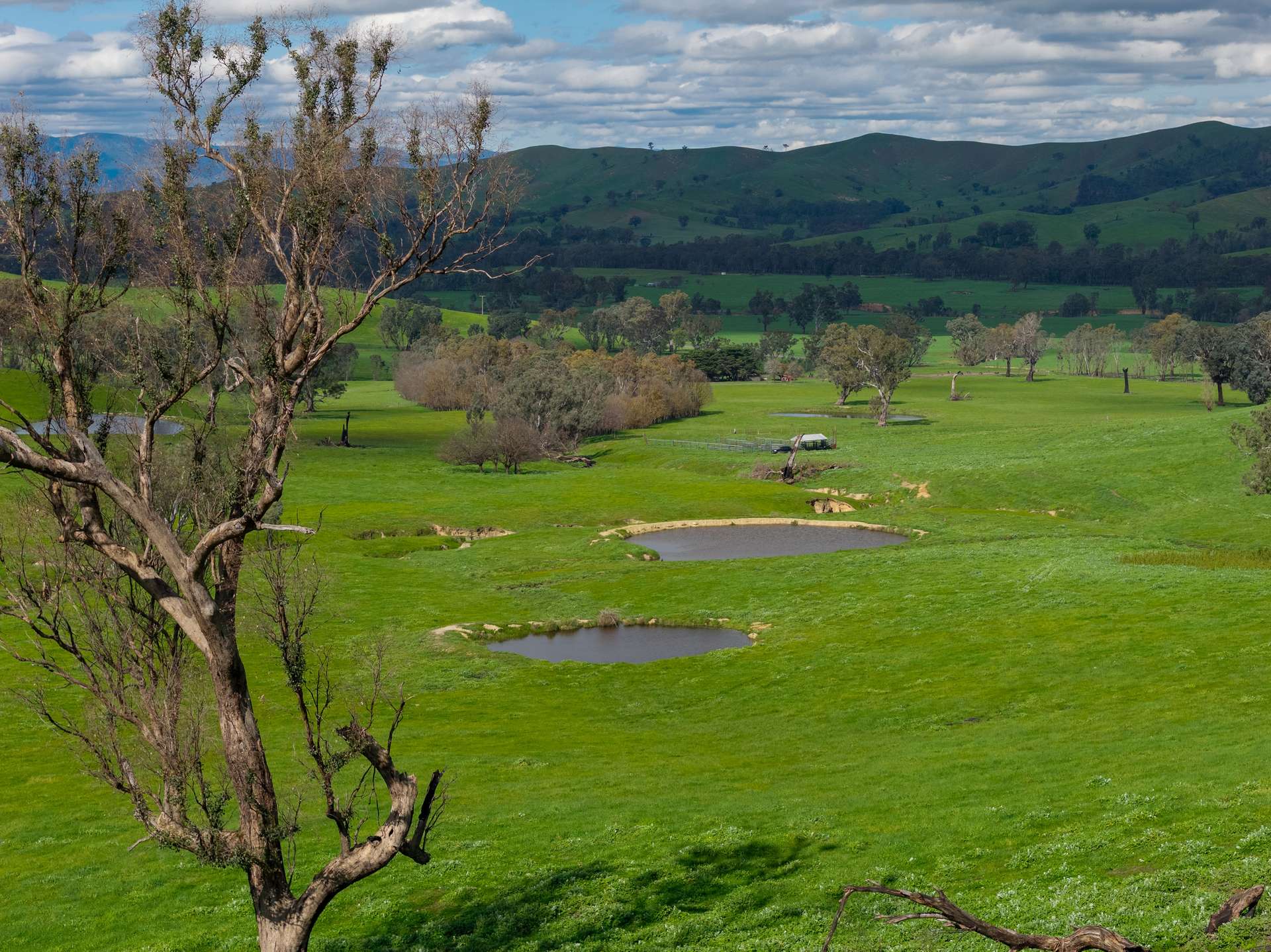 6118 Maroondah Highway, Yarck For Sale by Farmbuy.com - image 10