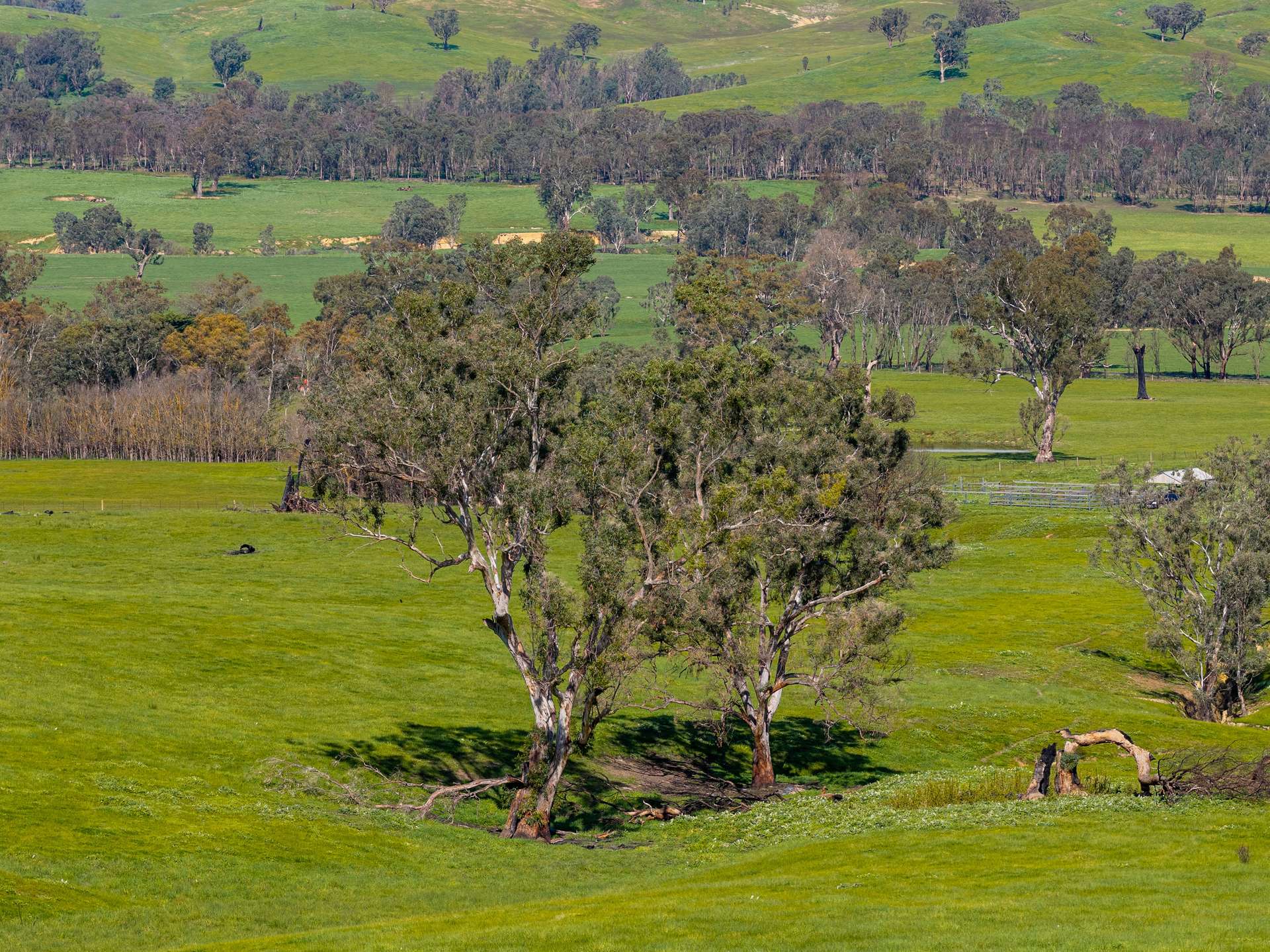 6118 Maroondah Highway, Yarck For Sale by Farmbuy.com - image 15