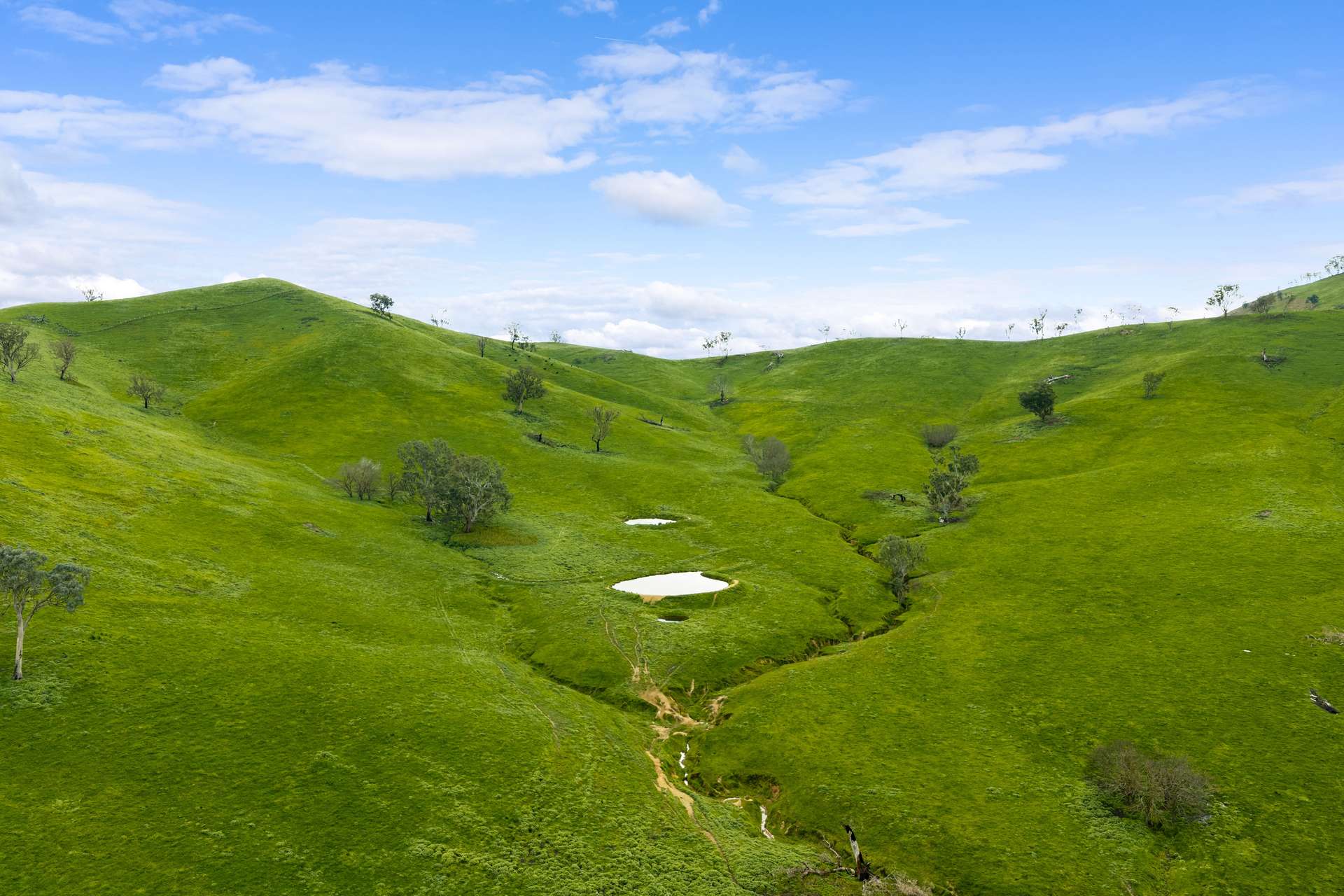 6118 Maroondah Highway, Yarck For Sale by Farmbuy.com - image 4