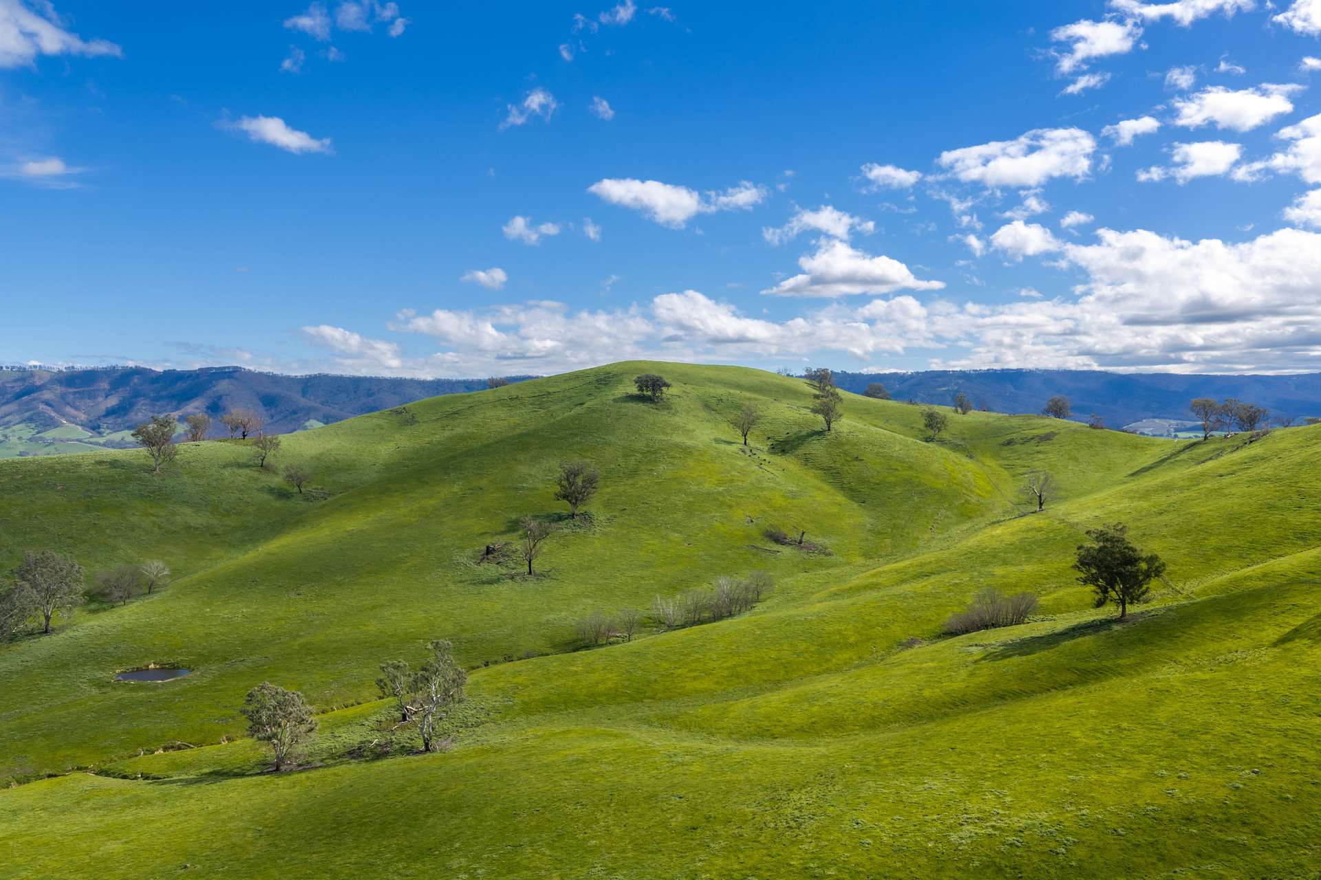 6118 Maroondah Highway, Yarck For Sale by Farmbuy.com - image 17