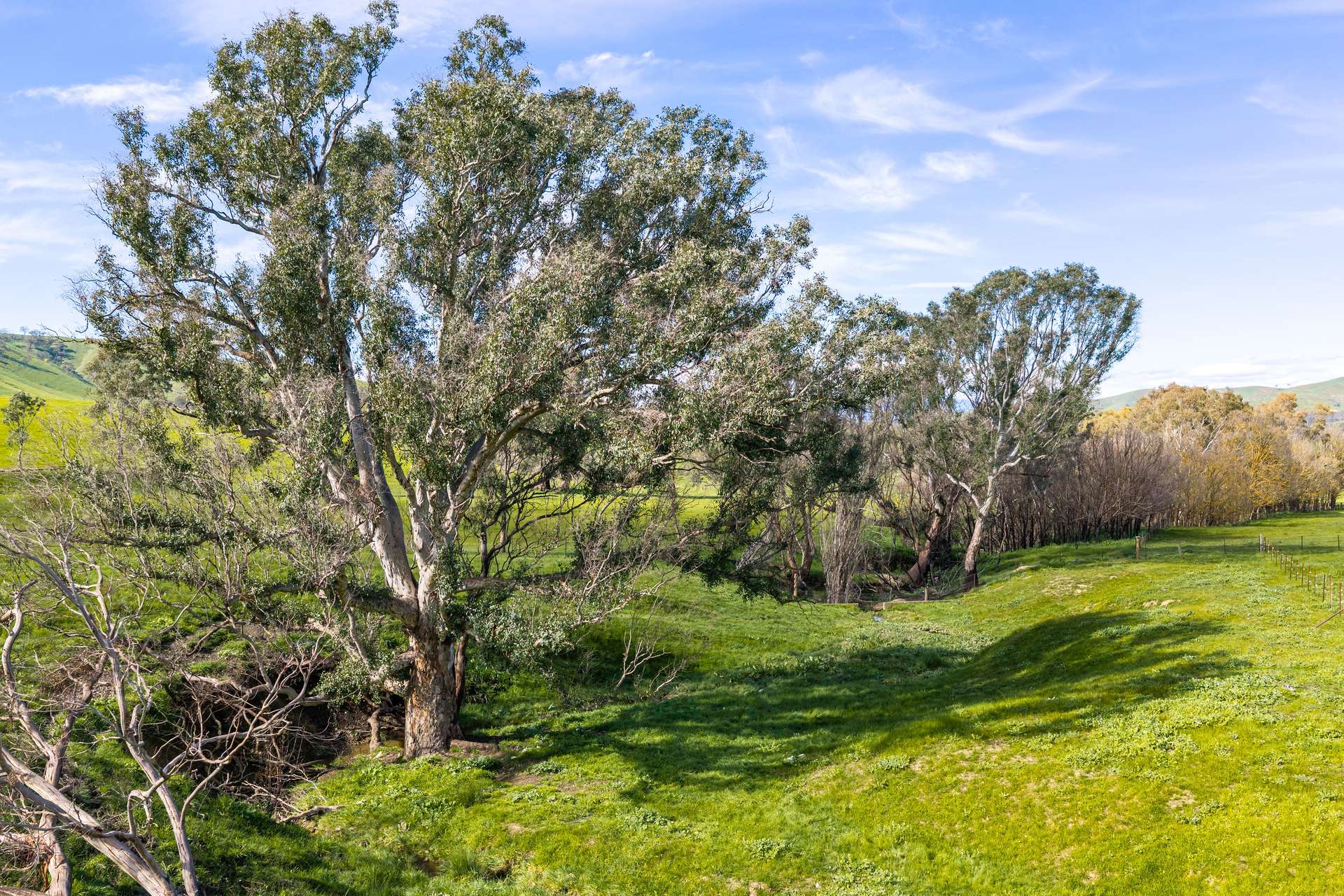 6118 Maroondah Highway, Yarck For Sale by Farmbuy.com - image 6