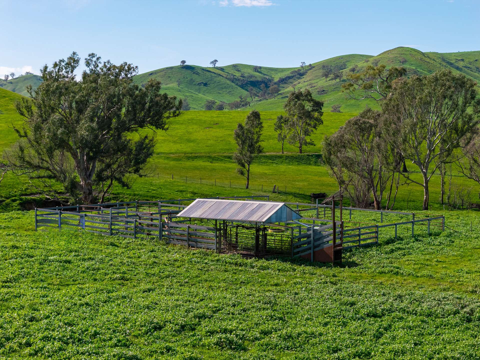 6118 Maroondah Highway, Yarck For Sale by Farmbuy.com - image 19