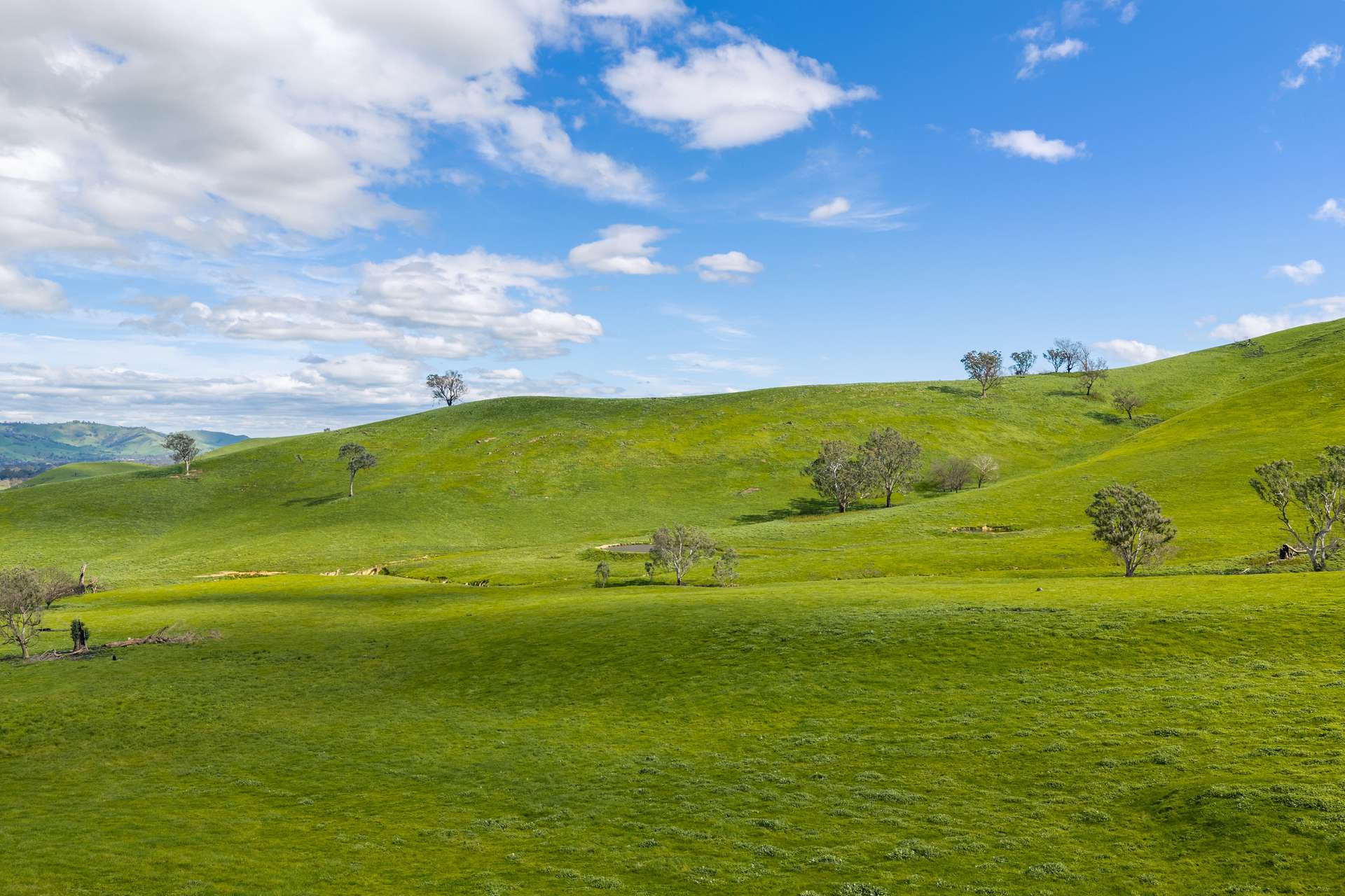 6118 Maroondah Highway, Yarck For Sale by Farmbuy.com - image 9