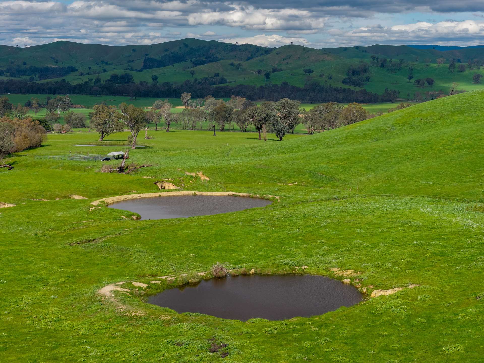 6118 Maroondah Highway, Yarck For Sale by Farmbuy.com - image 11