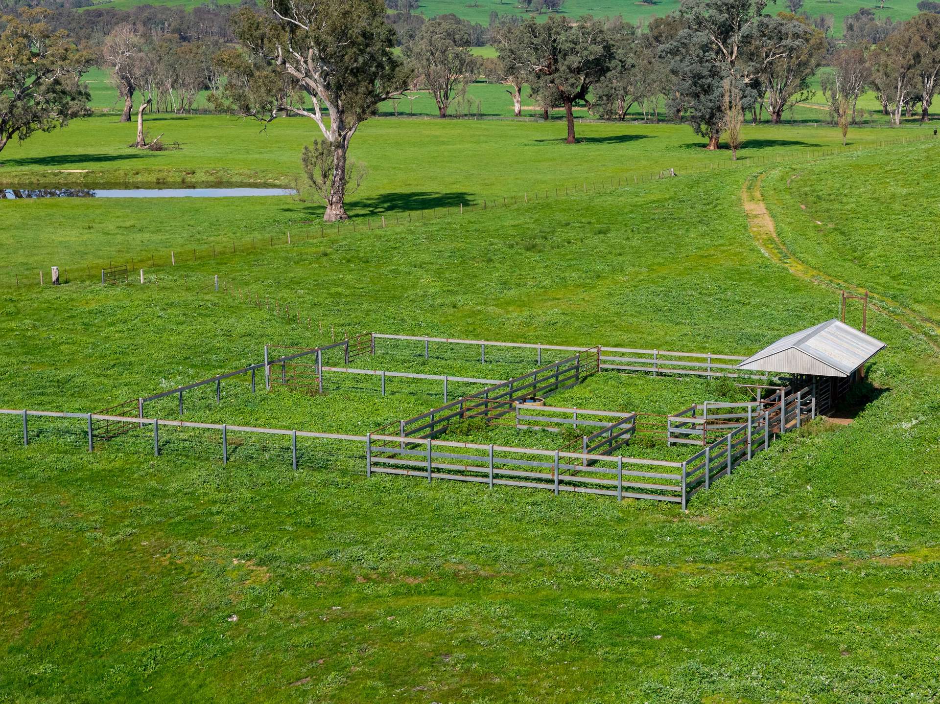 6118 Maroondah Highway, Yarck For Sale by Farmbuy.com - image 18
