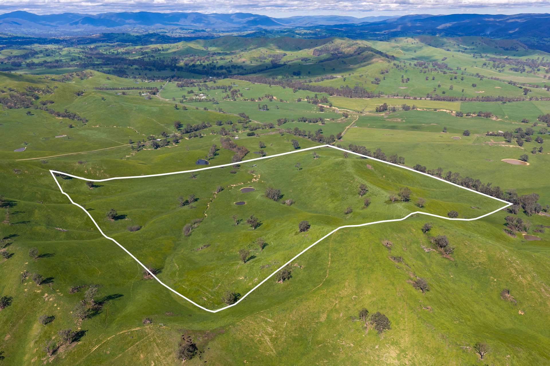 6118 Maroondah Highway, Yarck For Sale by Farmbuy.com - image 2