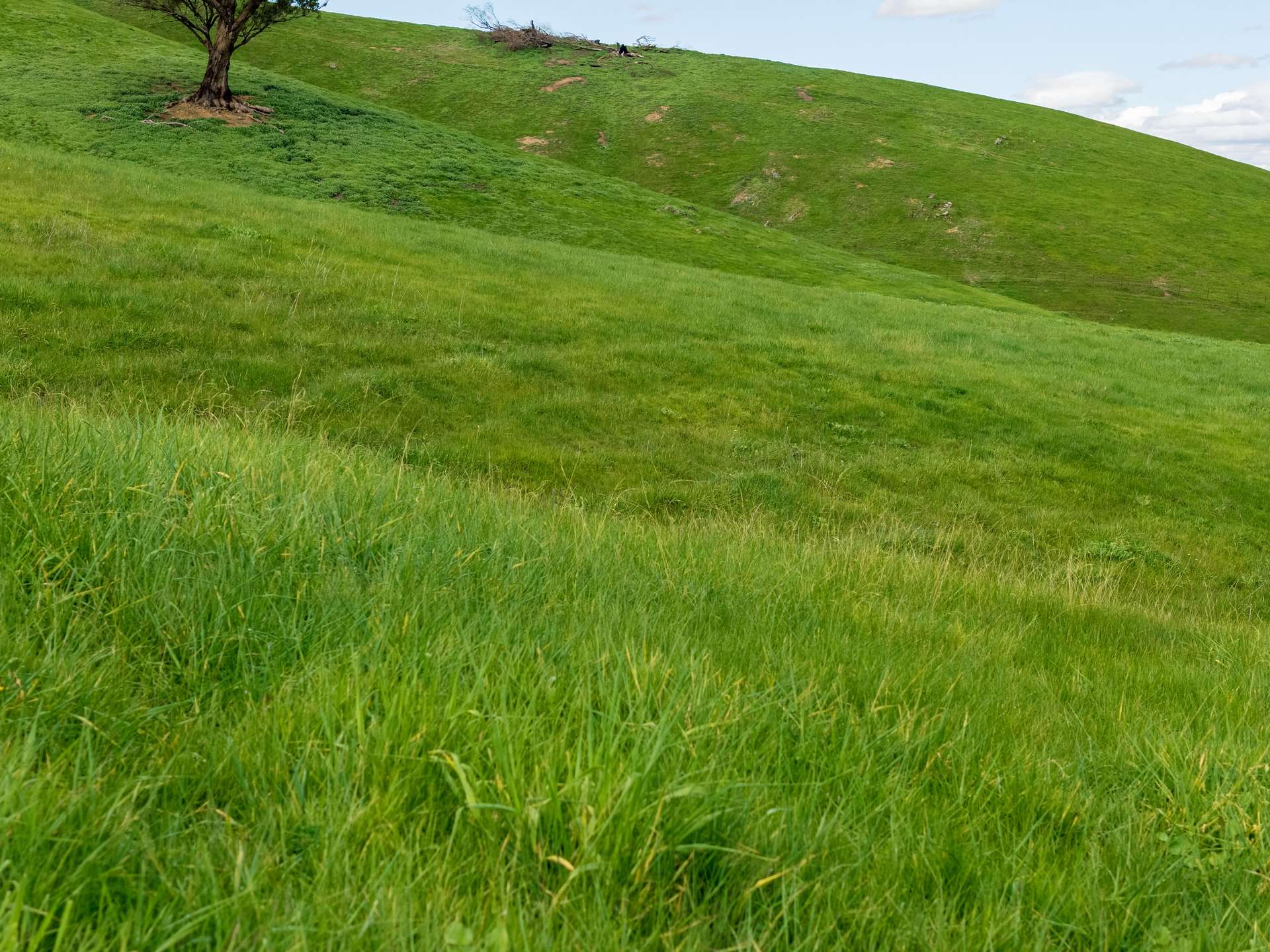 6118 Maroondah Highway, Yarck For Sale by Farmbuy.com - image 7