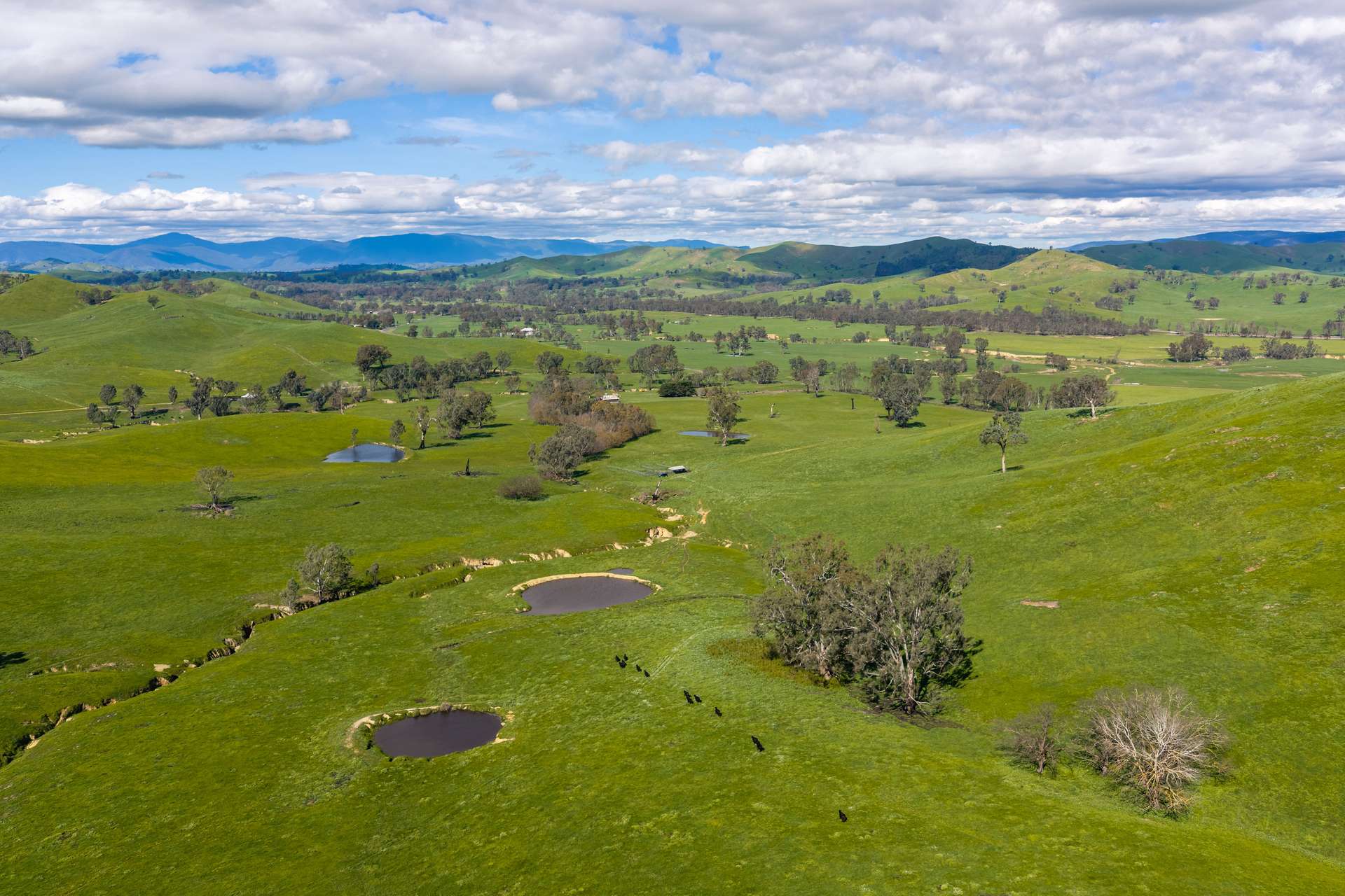 6118 Maroondah Highway, Yarck For Sale by Farmbuy.com - image 14