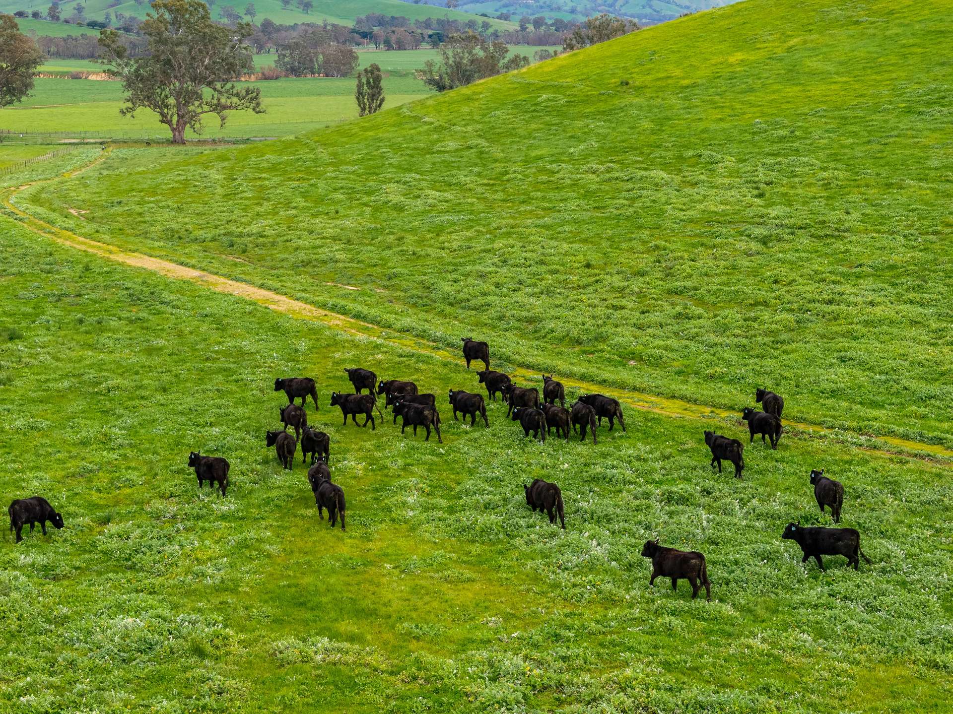 6118 Maroondah Highway, Yarck For Sale by Farmbuy.com - image 20