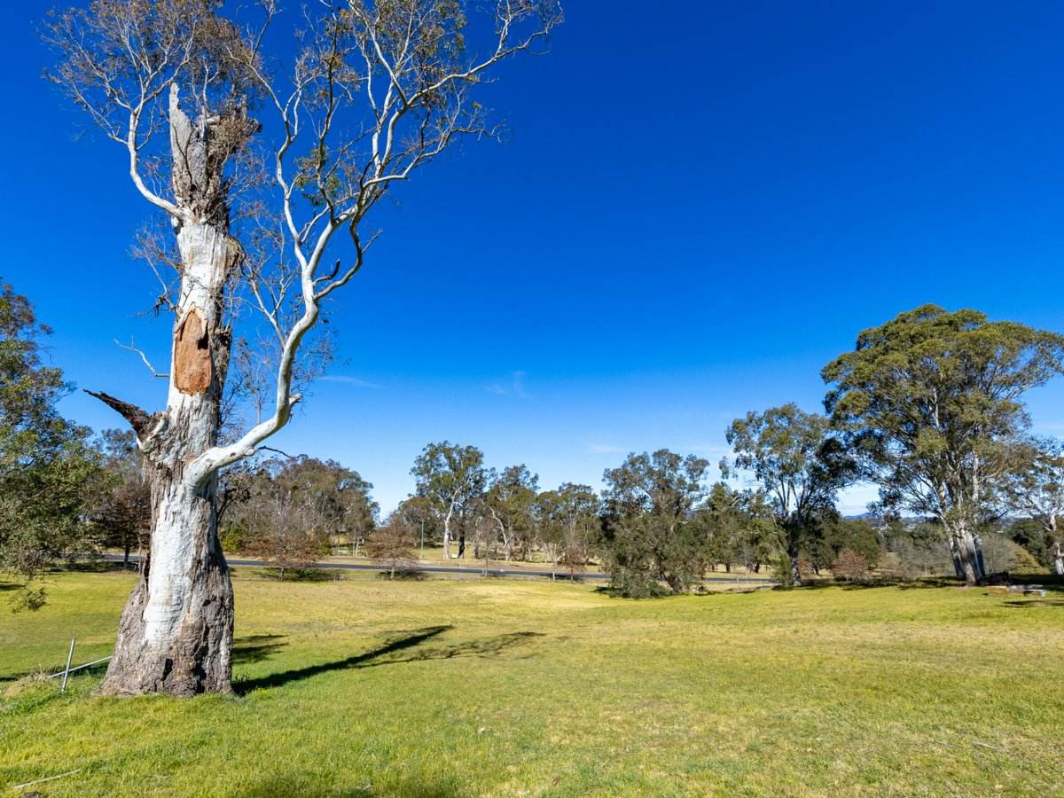 21 Moore Wren Road, Tarraganda For Sale by Farmbuy.com - image 17