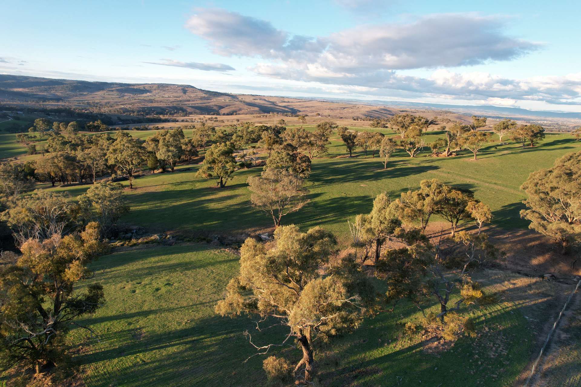394 Range Hills Road, Bathurst For Sale by Farmbuy.com - image 3