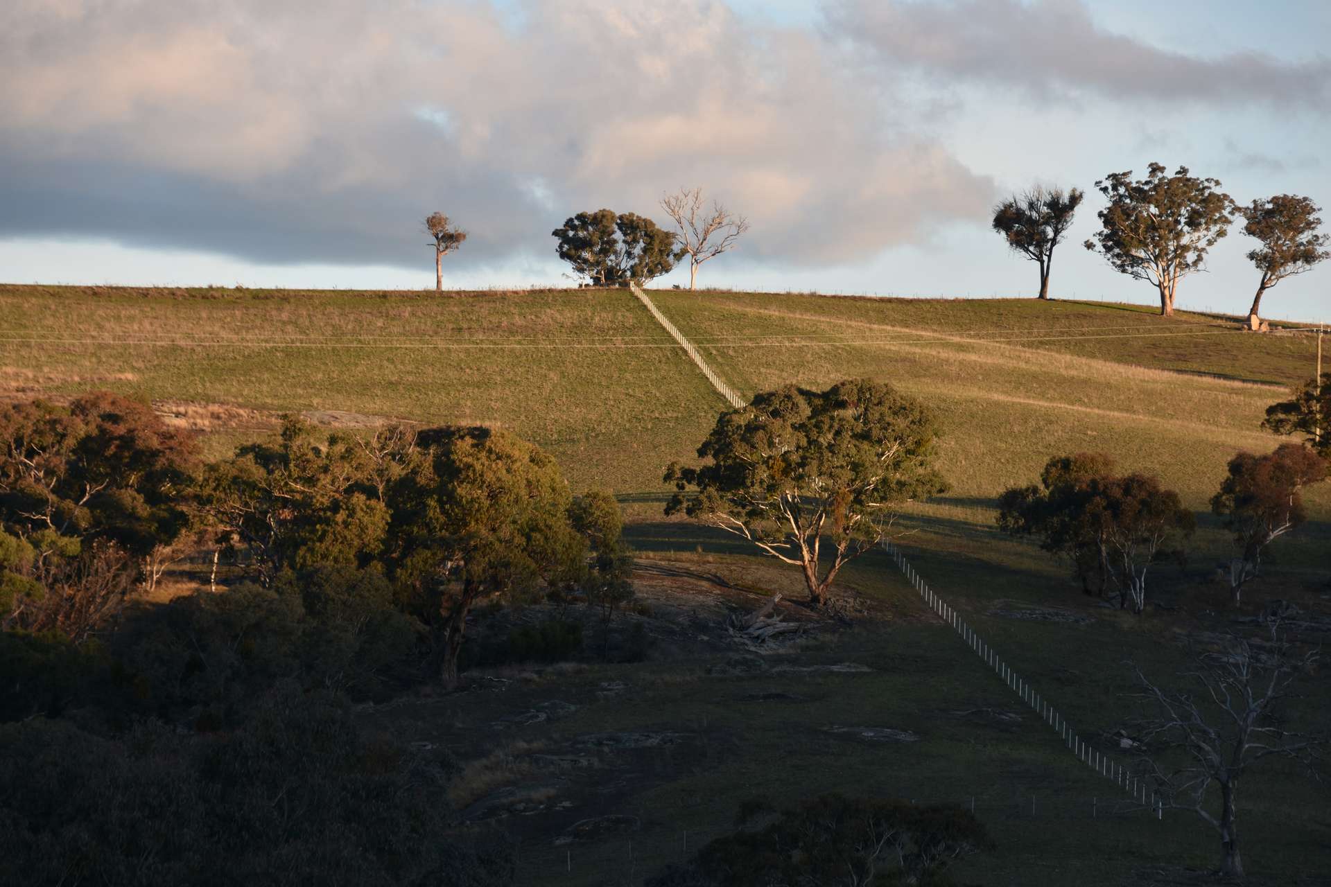 394 Range Hills Road, Bathurst For Sale by Farmbuy.com - image 16