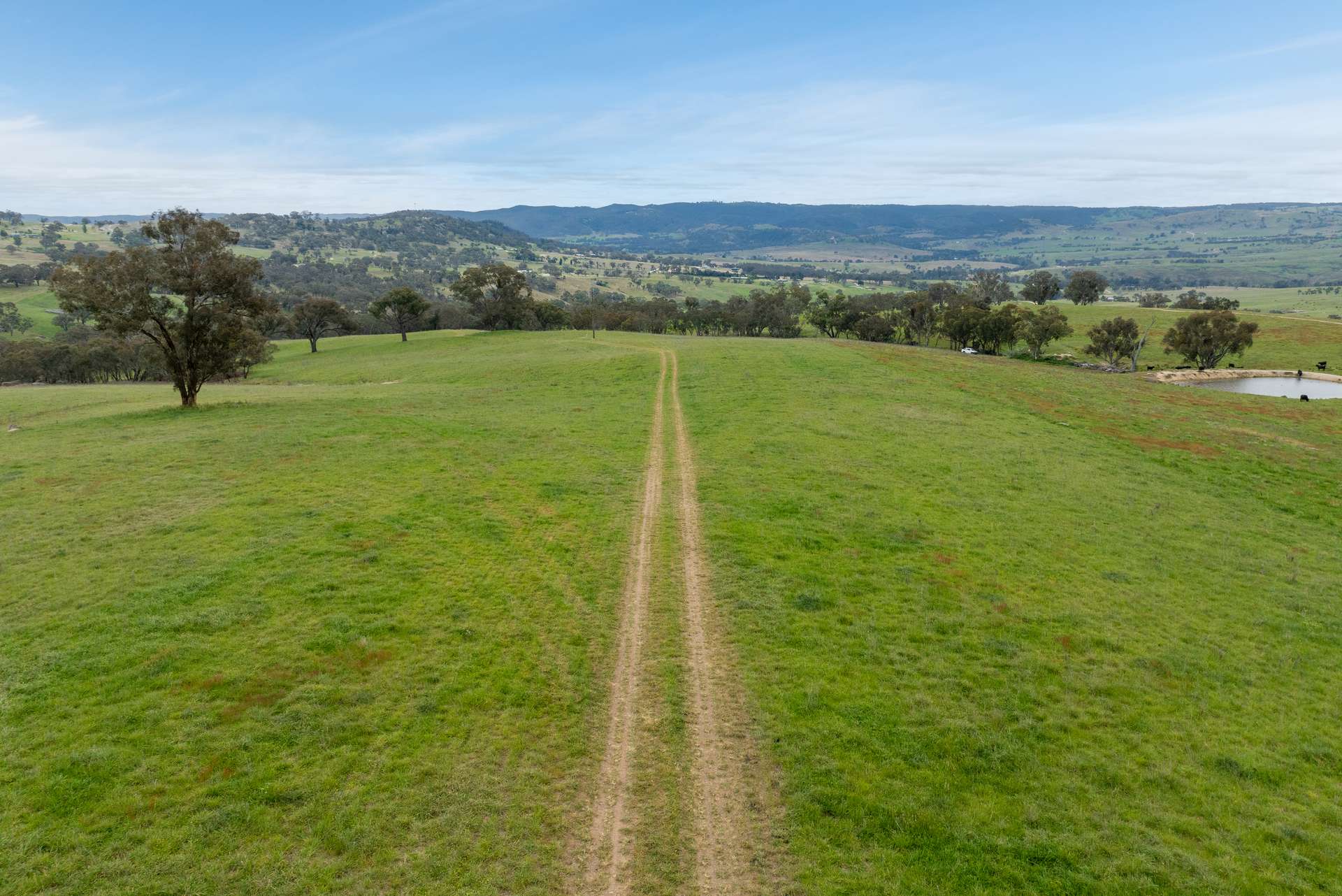 394 Range Hills Road, Bathurst For Sale by Farmbuy.com - image 8