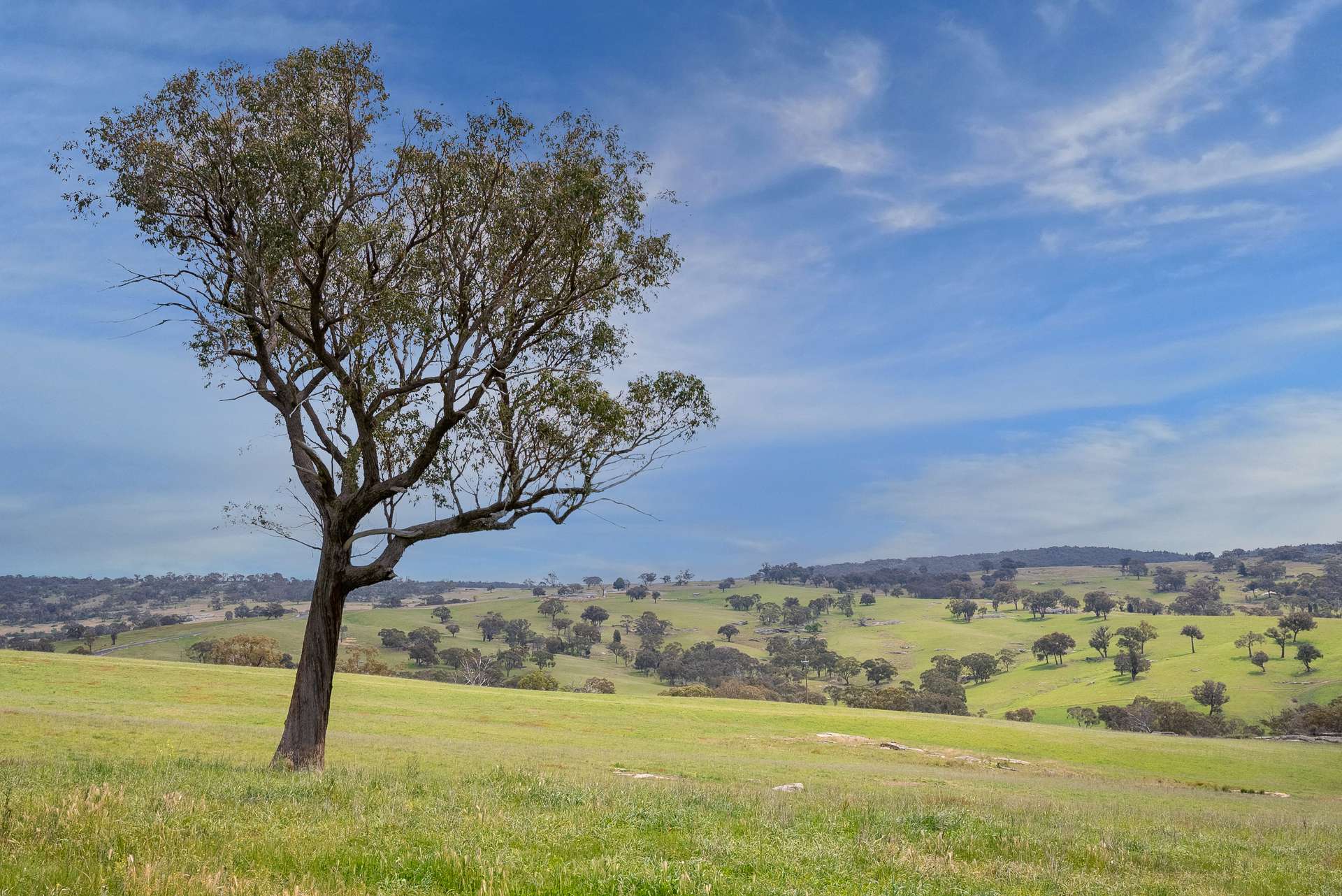 394 Range Hills Road, Bathurst For Sale by Farmbuy.com - image 9