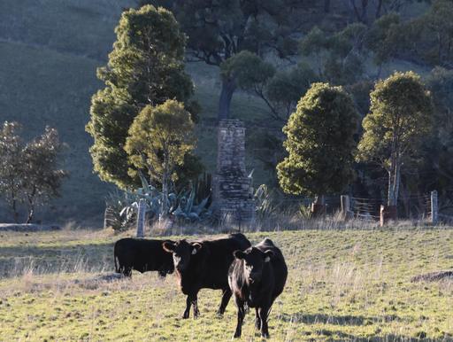 394 Range Hills Road, Bathurst NSW 2795
