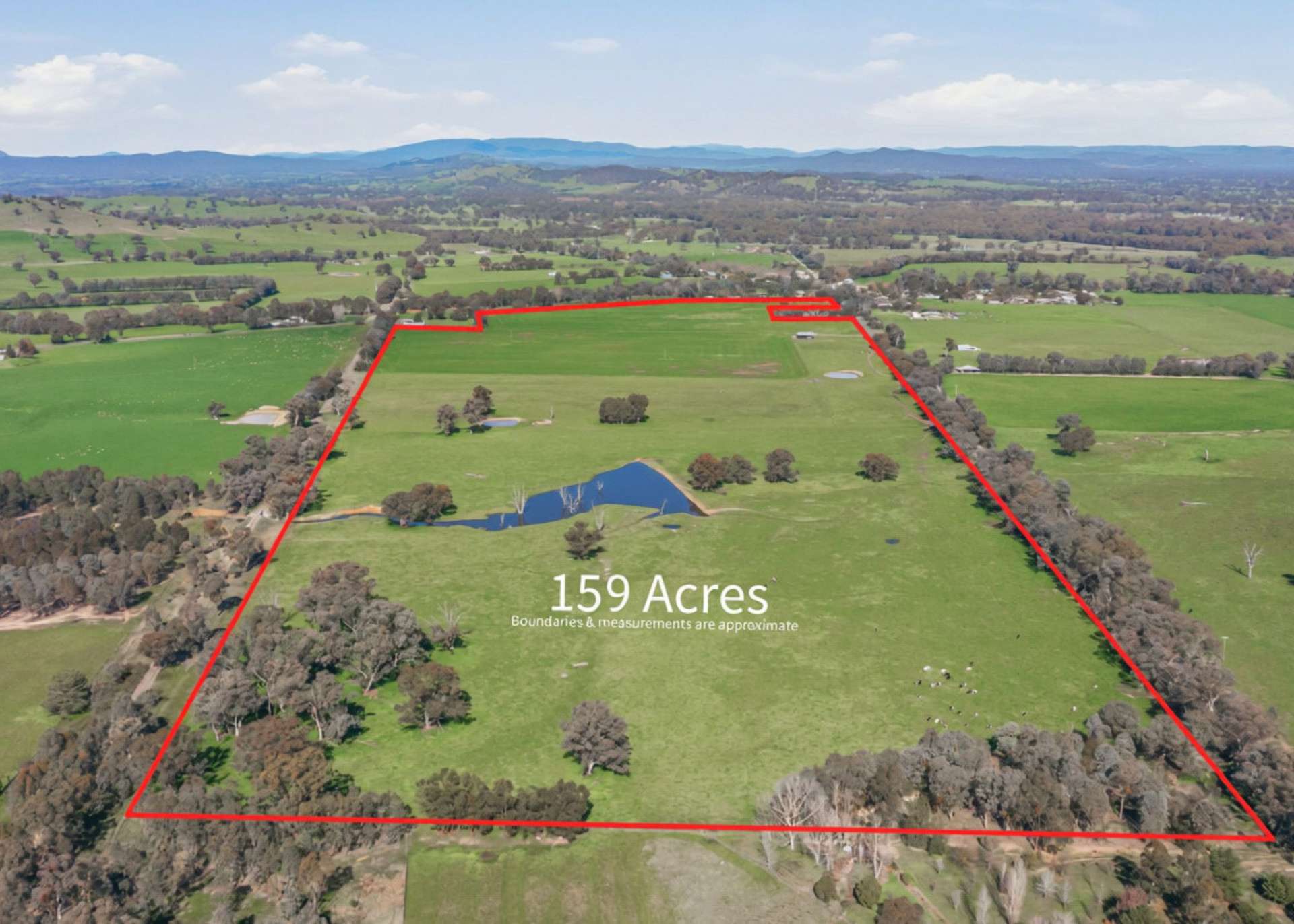 64 White Post Road, Everton For Sale by Farmbuy.com - image 15