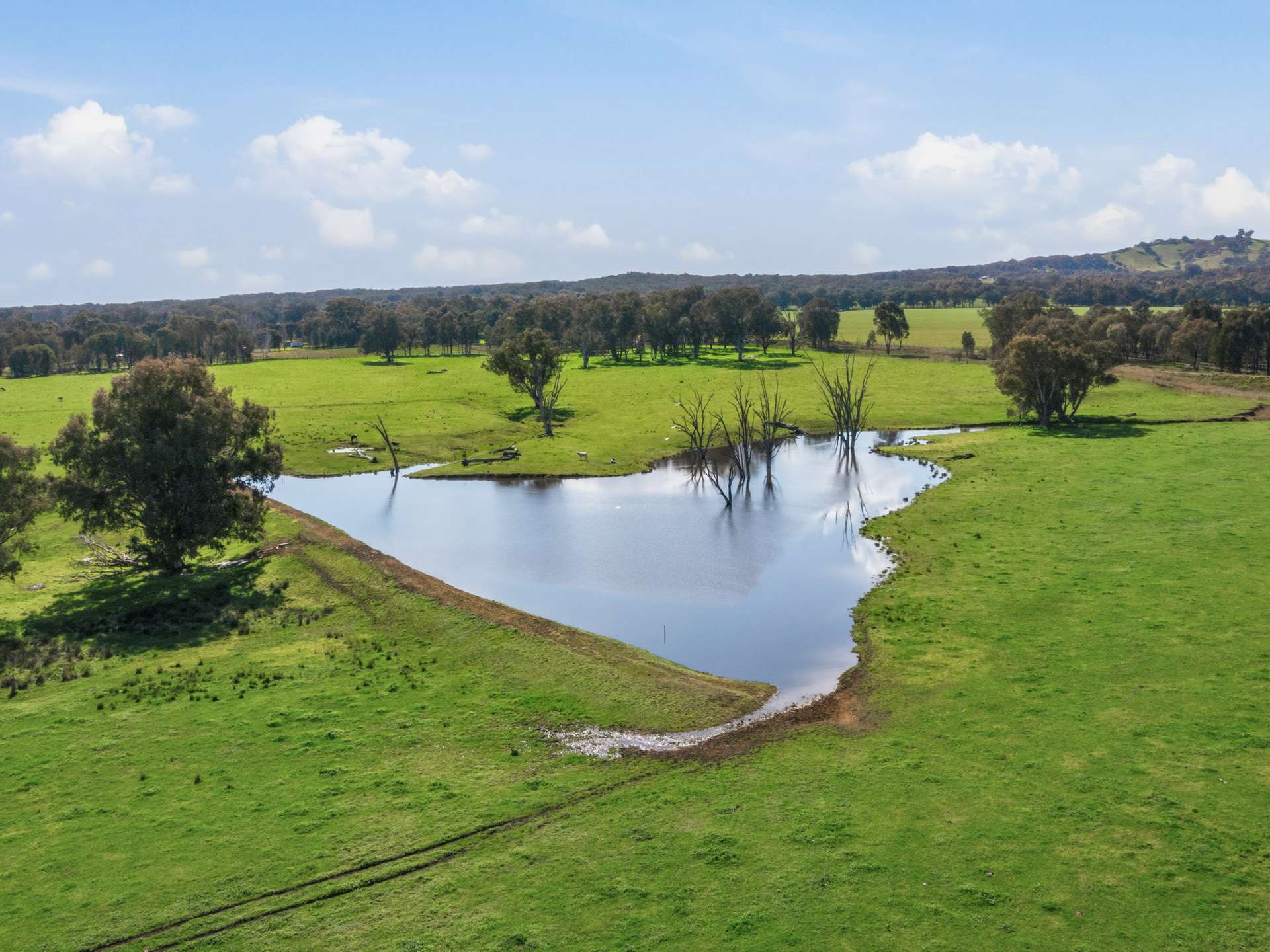 64 White Post Road, Everton For Sale by Farmbuy.com - image 11