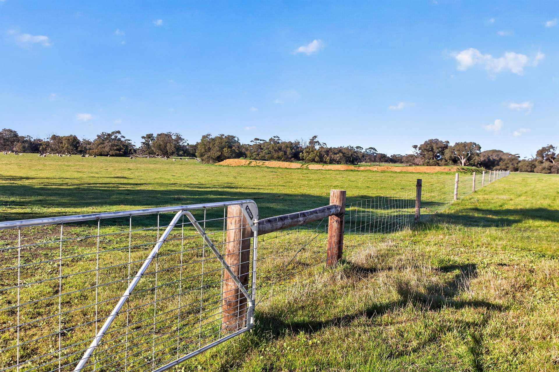 Lot 128 Moores Road, Haines For Sale by Farmbuy.com - image 5