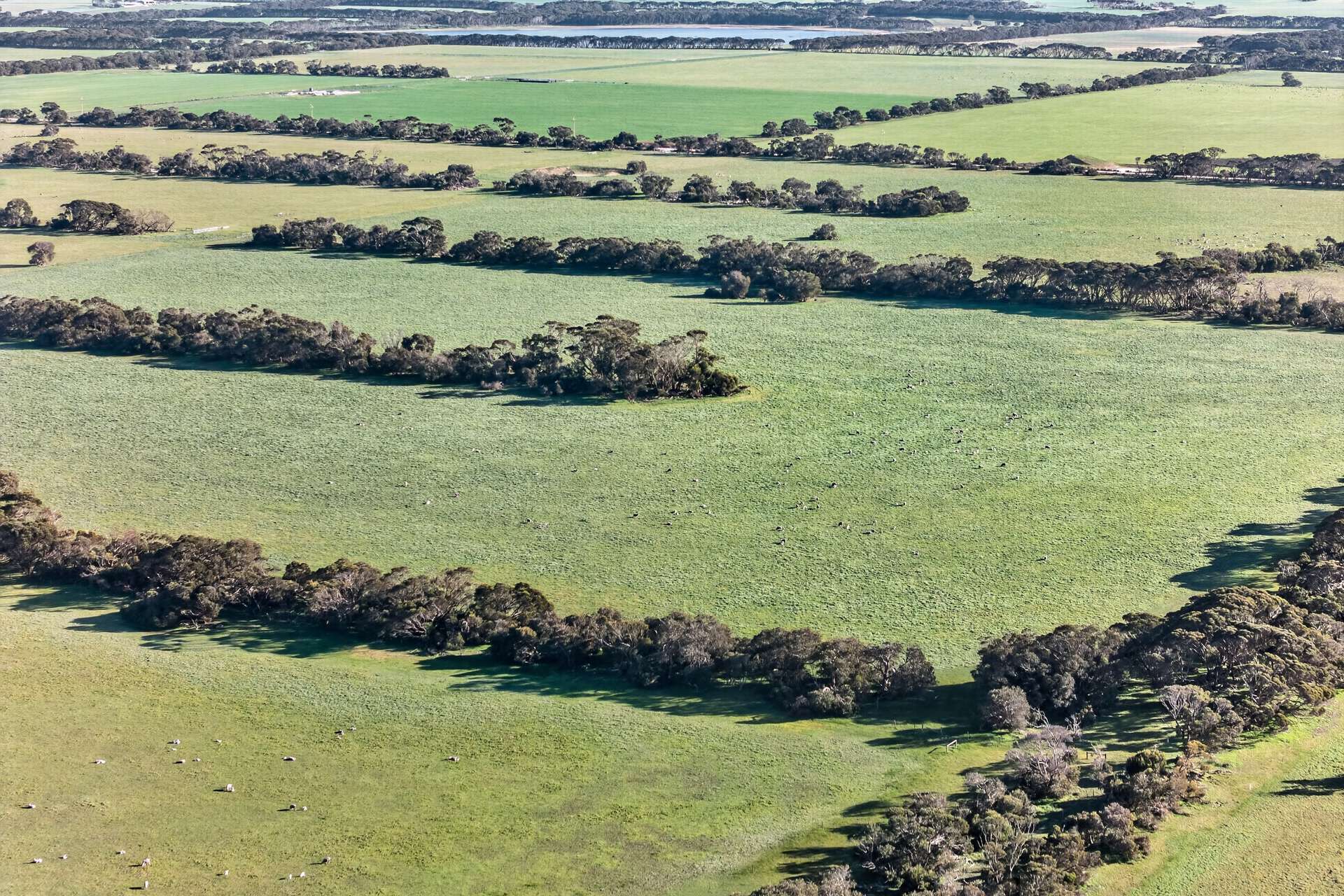 Lot 128 Moores Road, Haines For Sale by Farmbuy.com - image 24