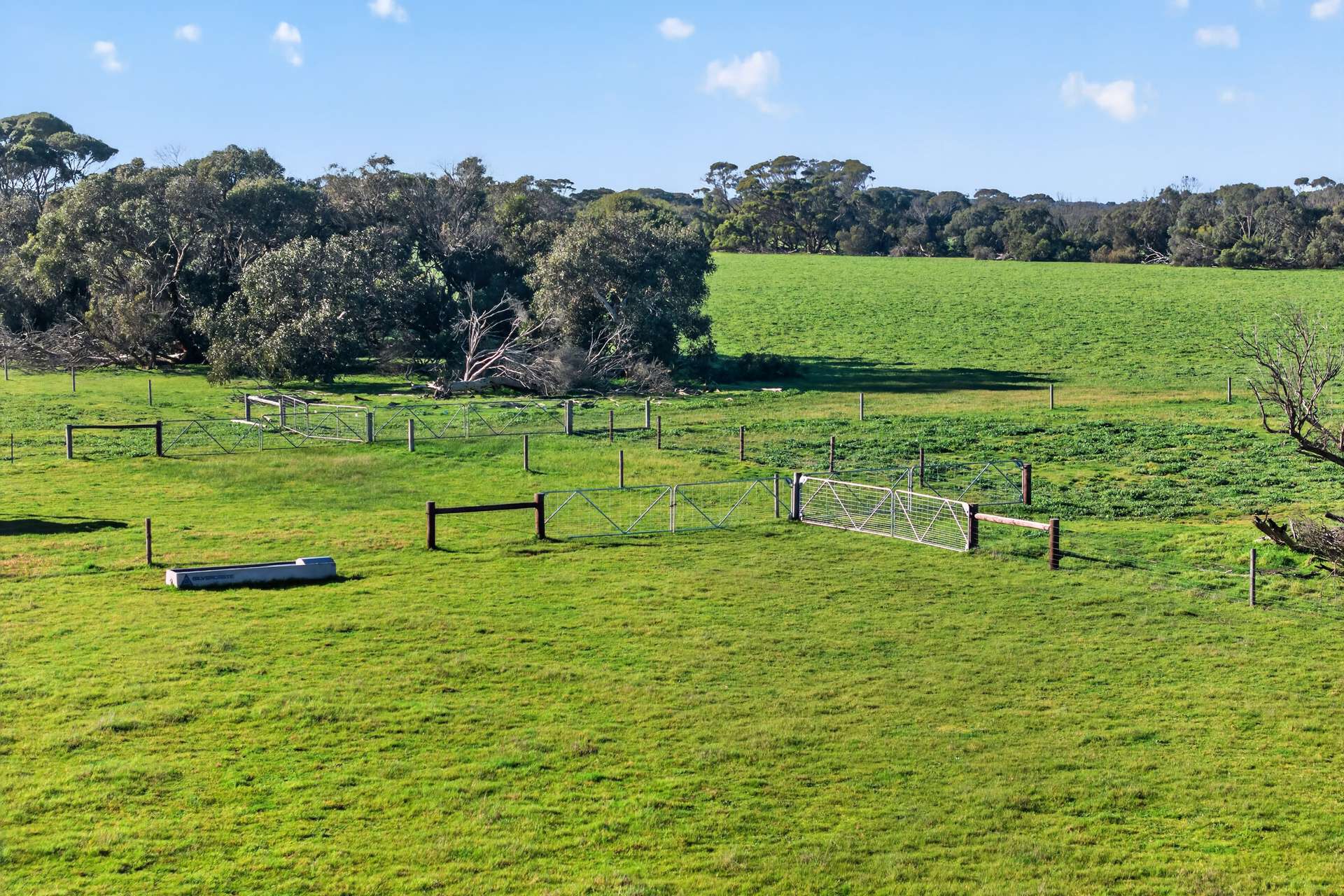 Lot 128 Moores Road, Haines For Sale by Farmbuy.com - image 4