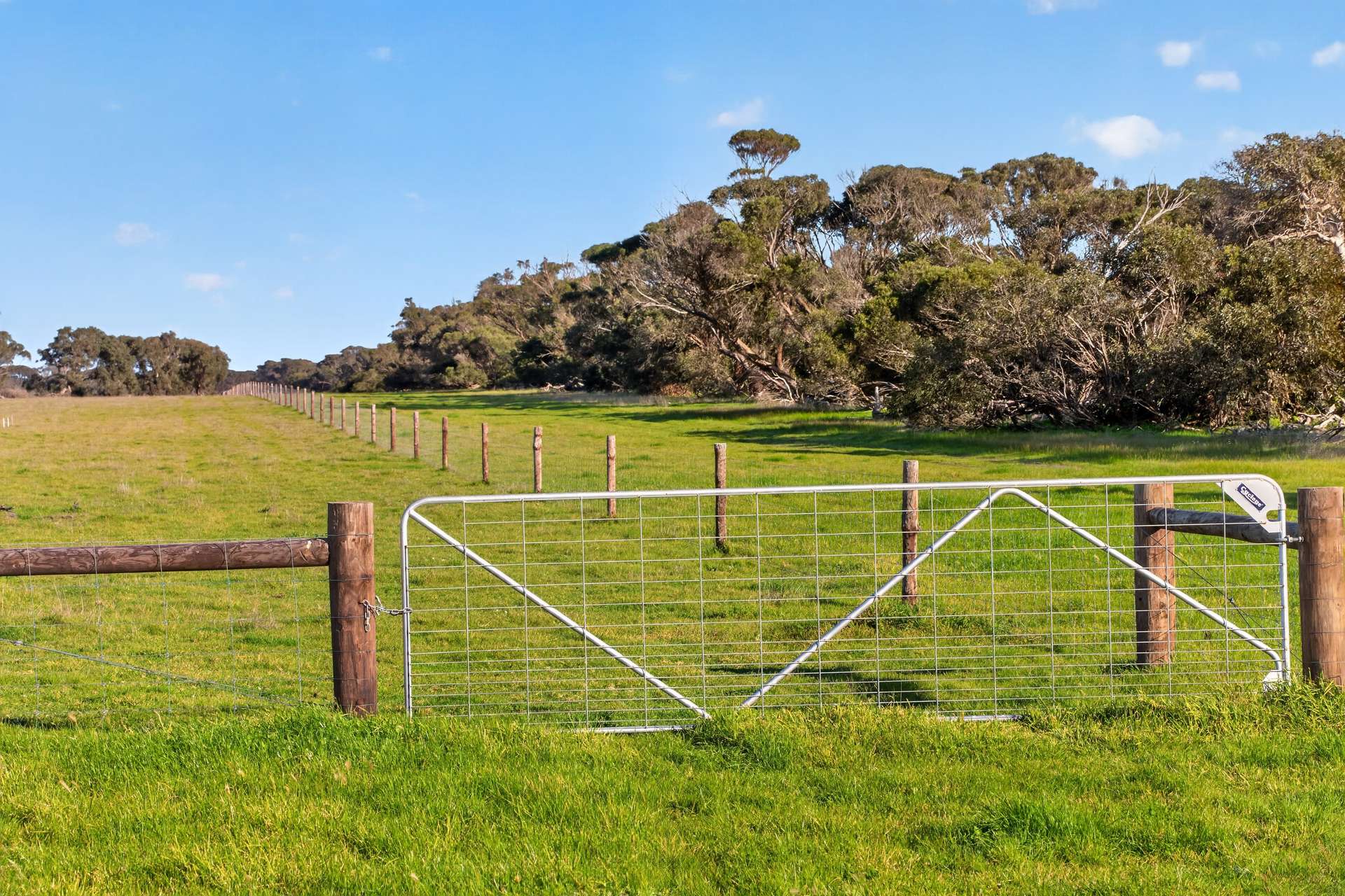 Lot 128 Moores Road, Haines For Sale by Farmbuy.com - image 3