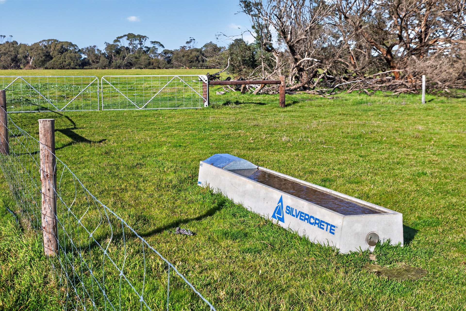 Lot 128 Moores Road, Haines For Sale by Farmbuy.com - image 13