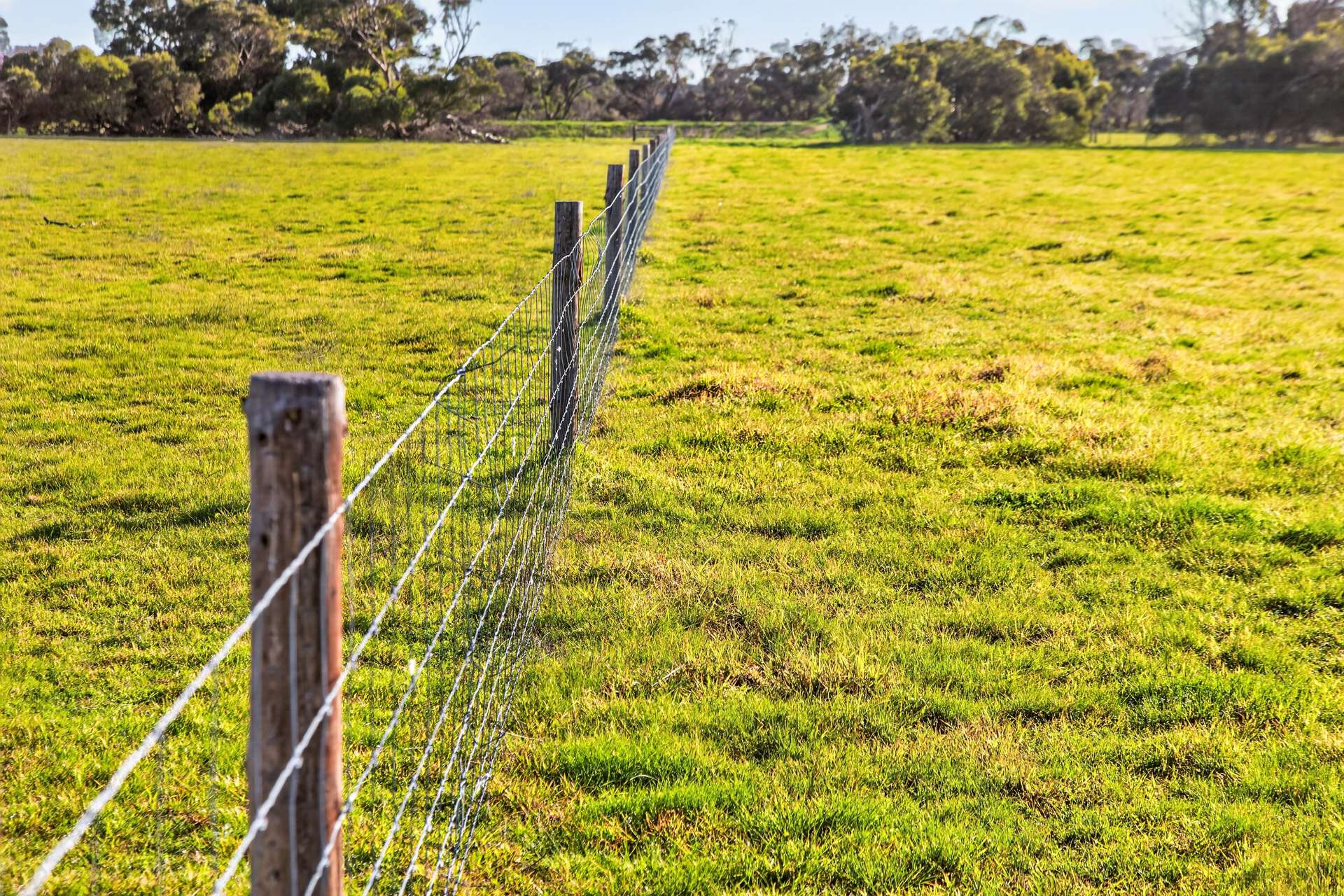 Lot 128 Moores Road, Haines For Sale by Farmbuy.com - image 6