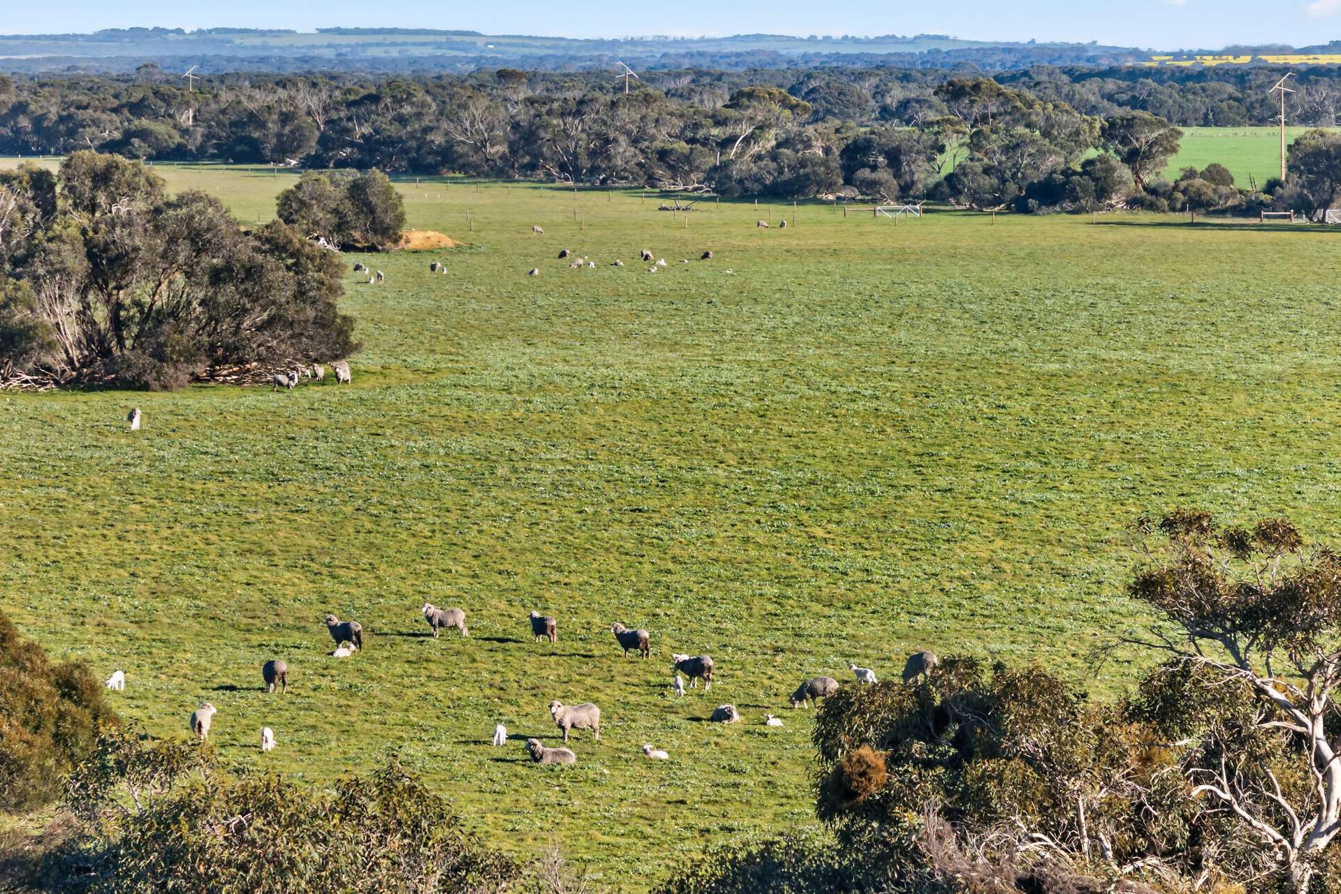 Lot 128 Moores Road, Haines For Sale by Farmbuy.com - image 19