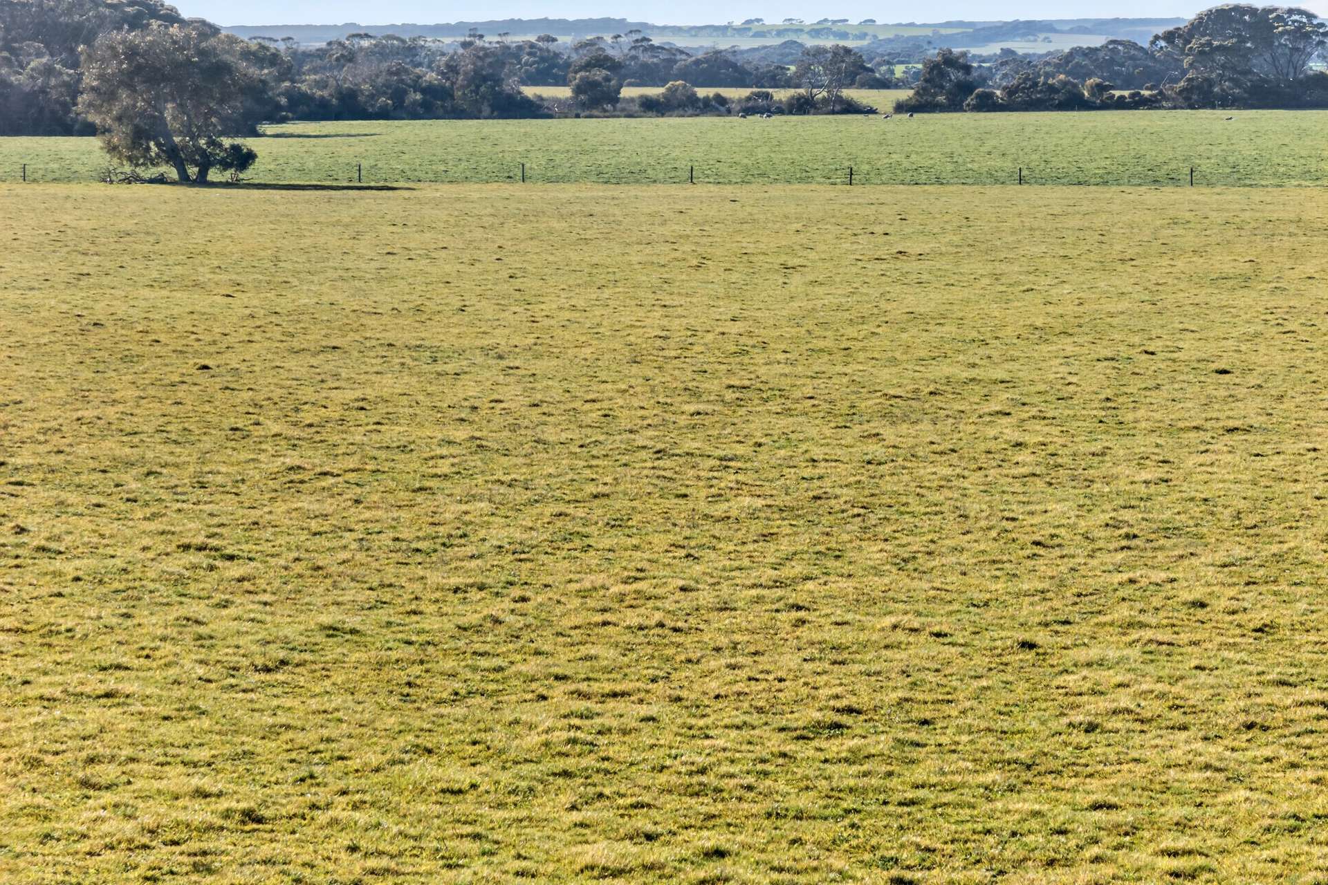 Lot 128 Moores Road, Haines For Sale by Farmbuy.com - image 18