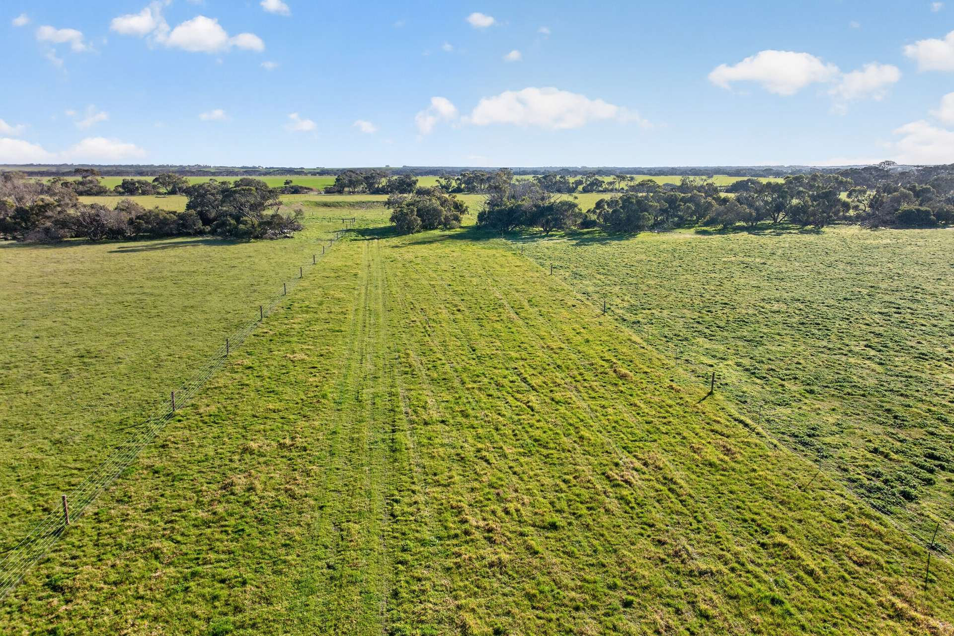Lot 128 Moores Road, Haines For Sale by Farmbuy.com - image 7