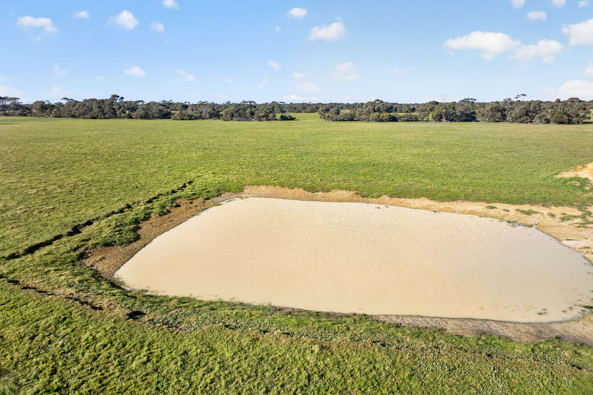 Lot 128 Moores Road, Haines For Sale by Farmbuy.com - image 11