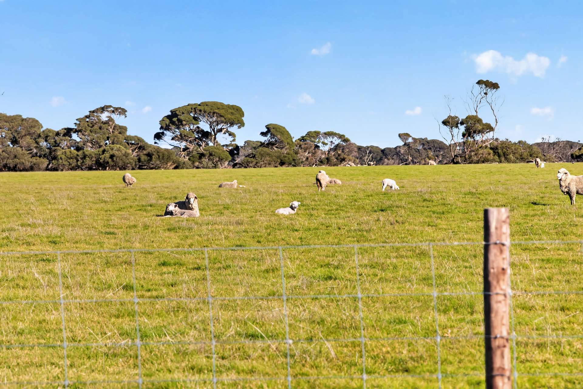 Lot 128 Moores Road, Haines For Sale by Farmbuy.com - image 17