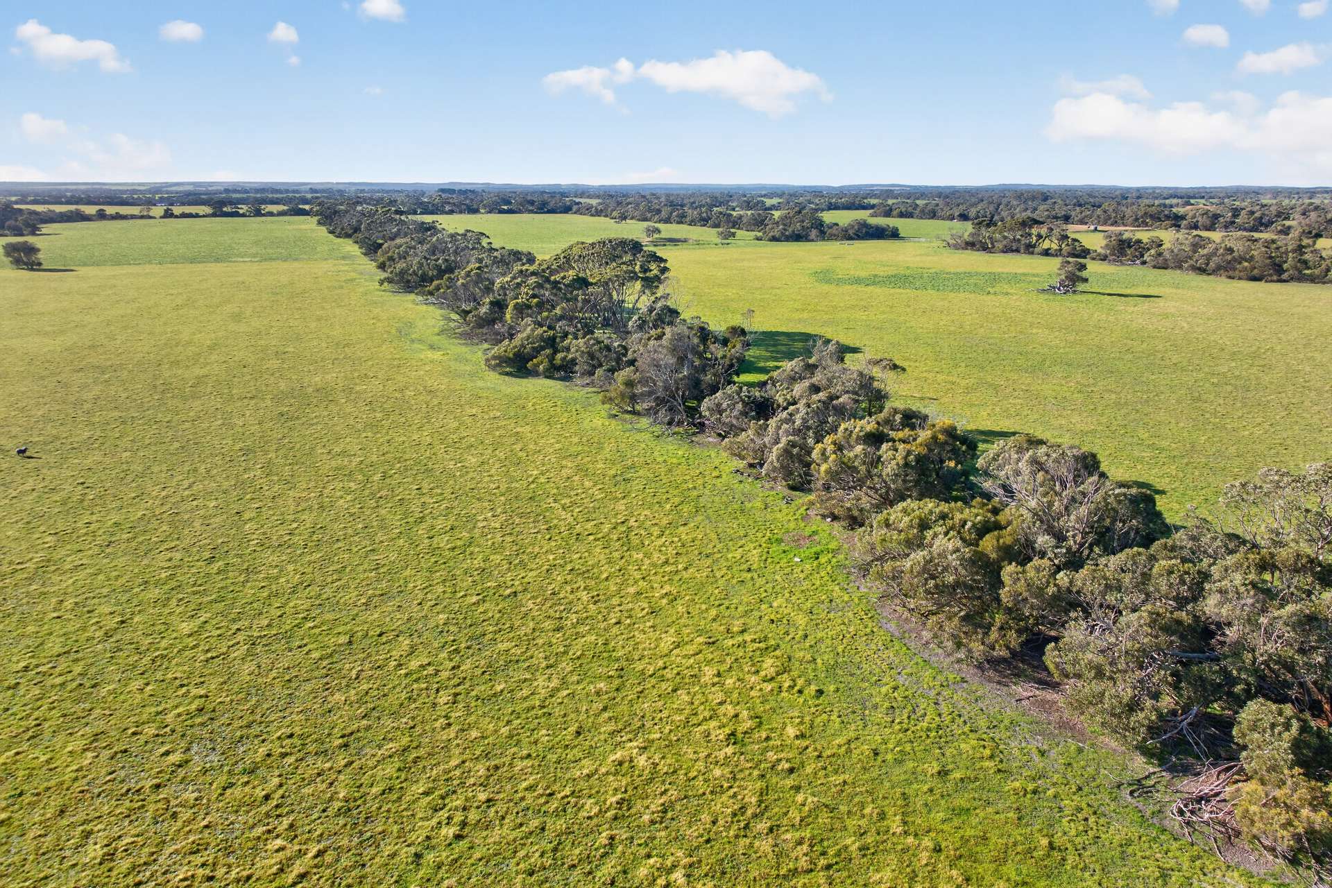 Lot 128 Moores Road, Haines For Sale by Farmbuy.com - image 15