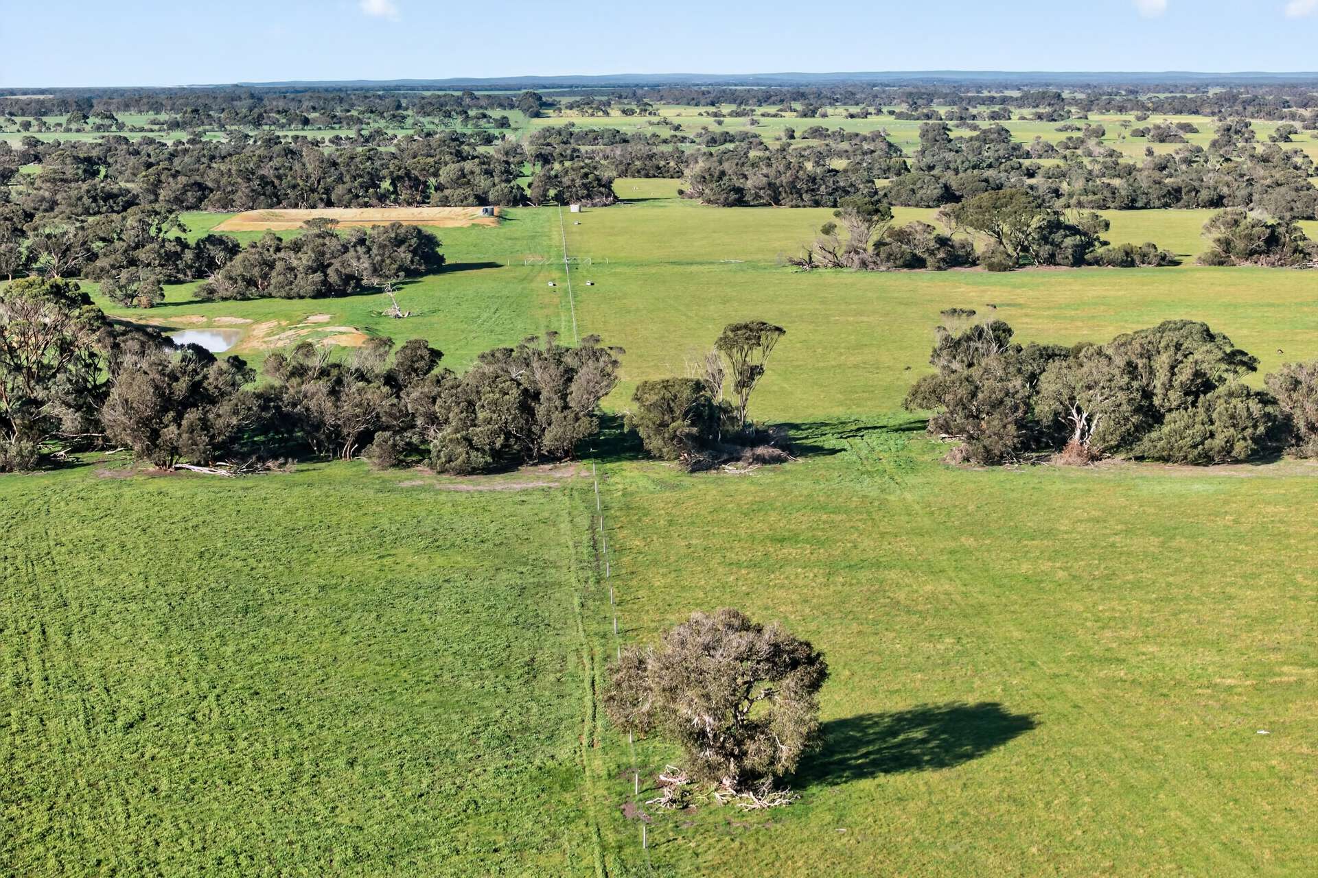 Lot 128 Moores Road, Haines For Sale by Farmbuy.com - image 2