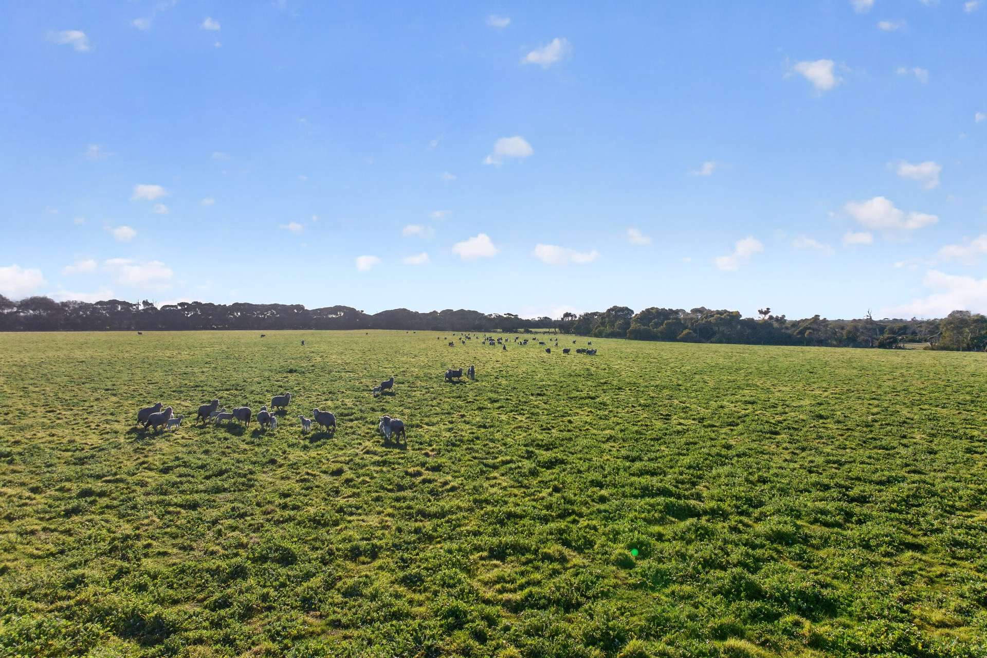 Lot 128 Moores Road, Haines For Sale by Farmbuy.com - image 14